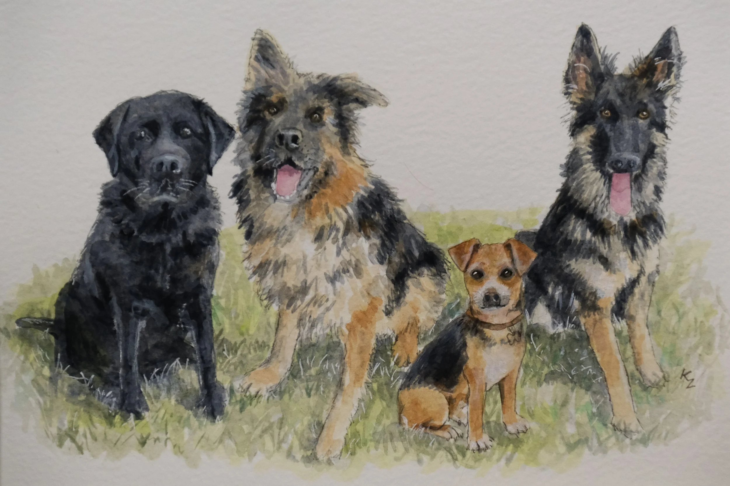 Painting of four dogs sitting on grass, including a black Labrador, an Australian Shepherd, a small brown and black dog, and a German Shepherd.  A commissioned painting by artist @painterlykerry Kerry Regan.