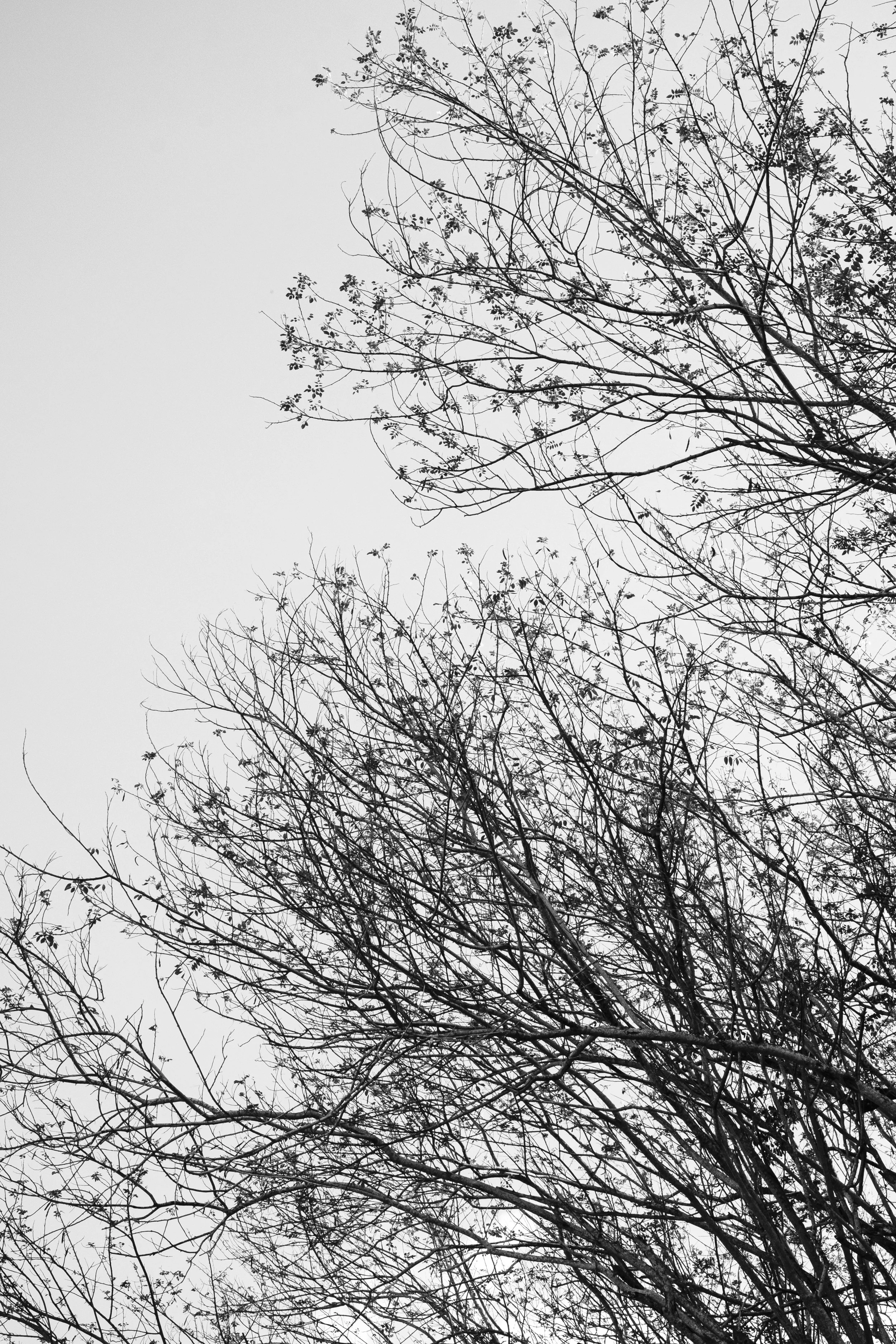 DSCF1221.jpg