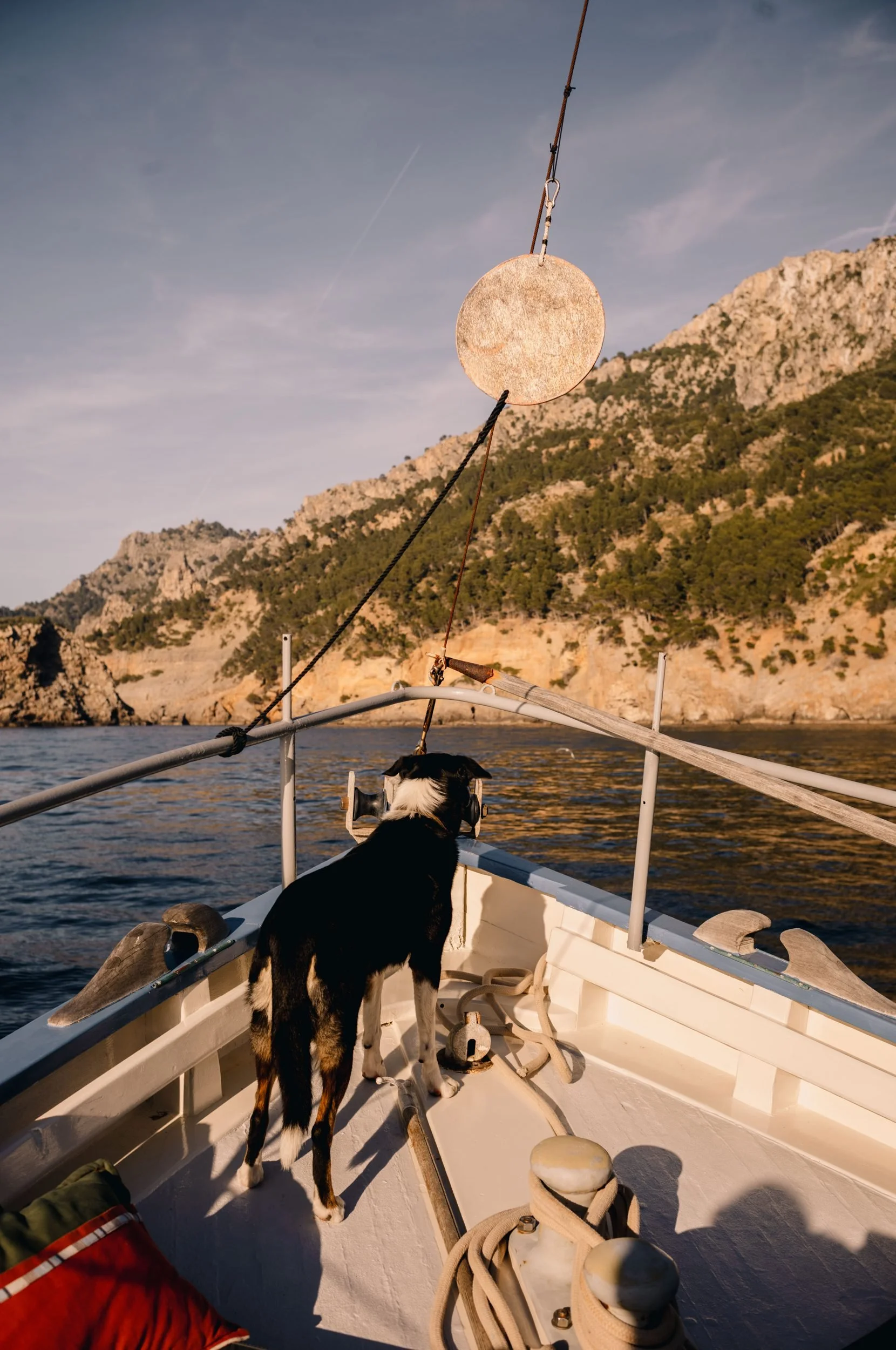 Ship's dog on bow Bonnie Lass Tramuntana cliffs