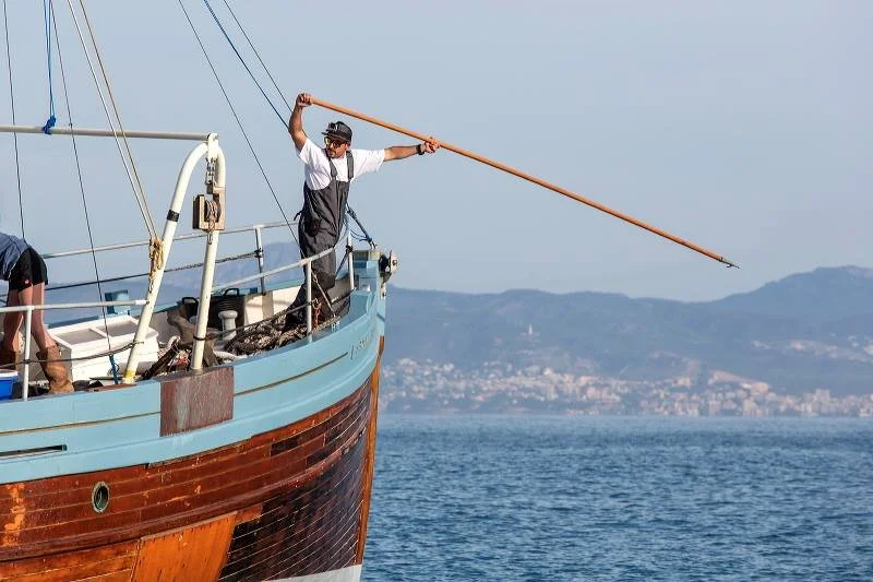 Marine conservation project (Roberto, Soller Divers).jpg