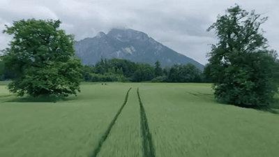 Dron V1-0013_Endurace_ONfly  copia.gif