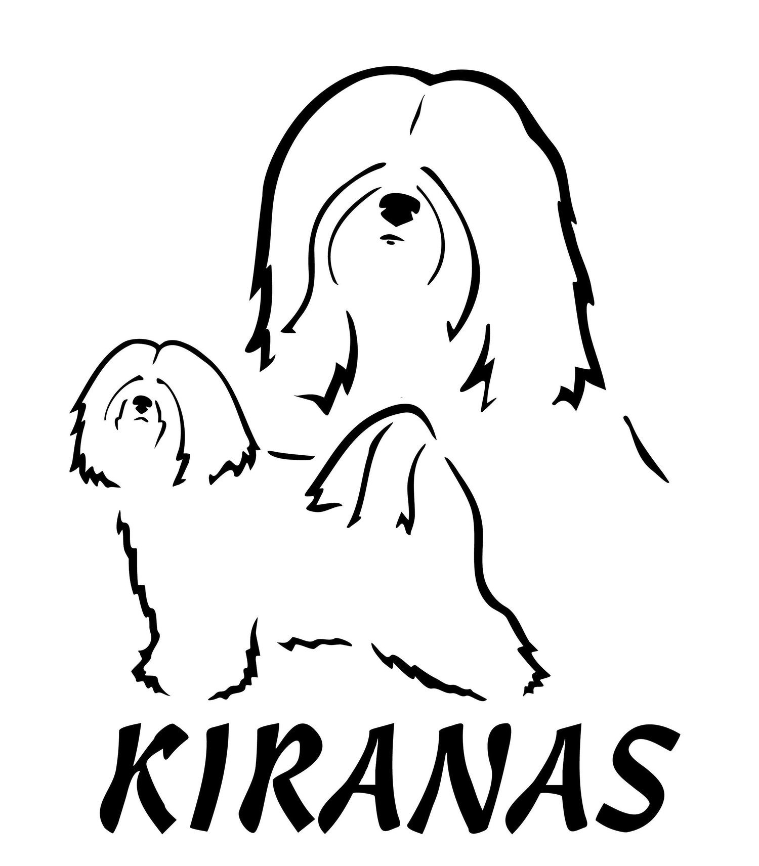 Kennel Kiranas - Tibetan Terriers