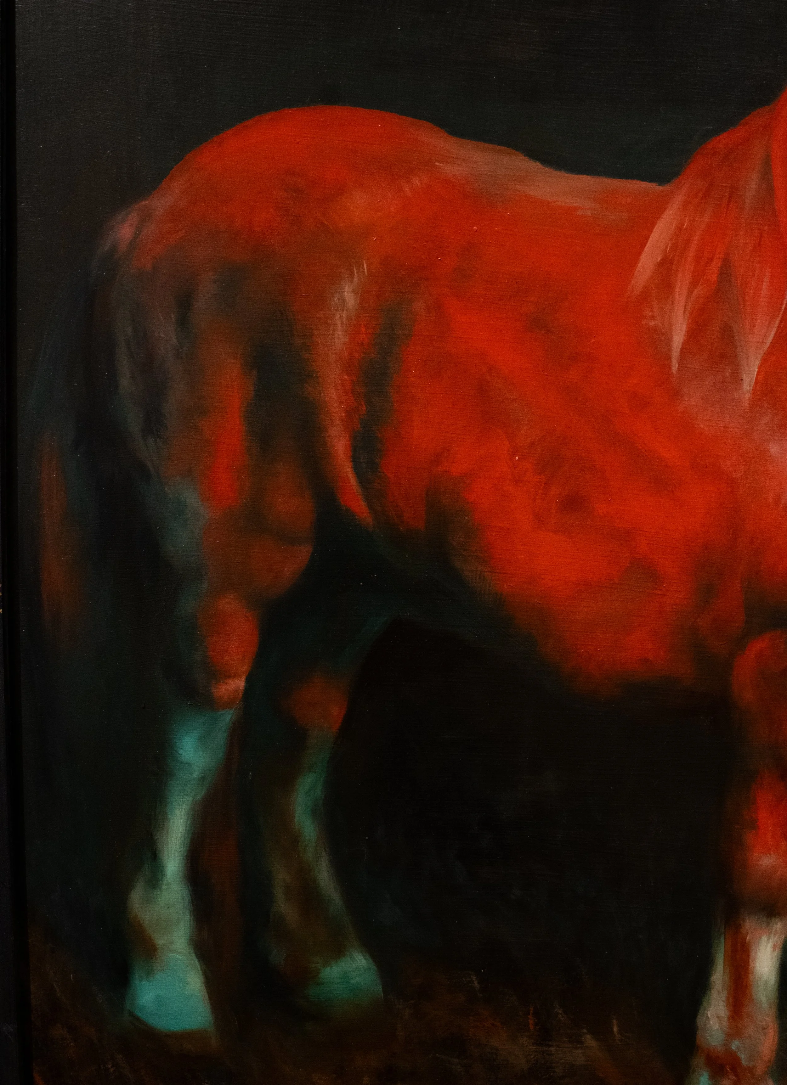 pony back.jpg