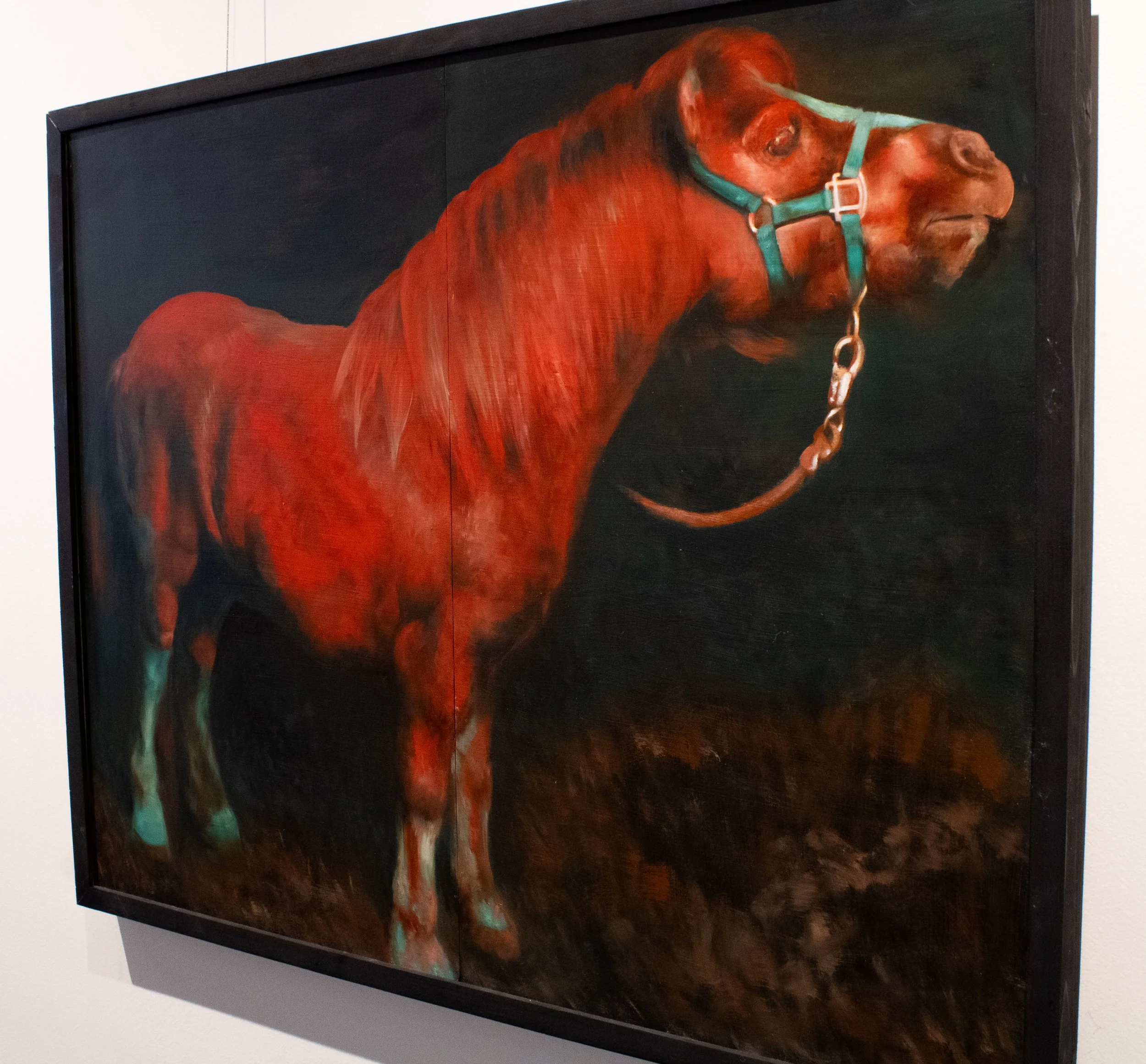 pony front tilt.jpg