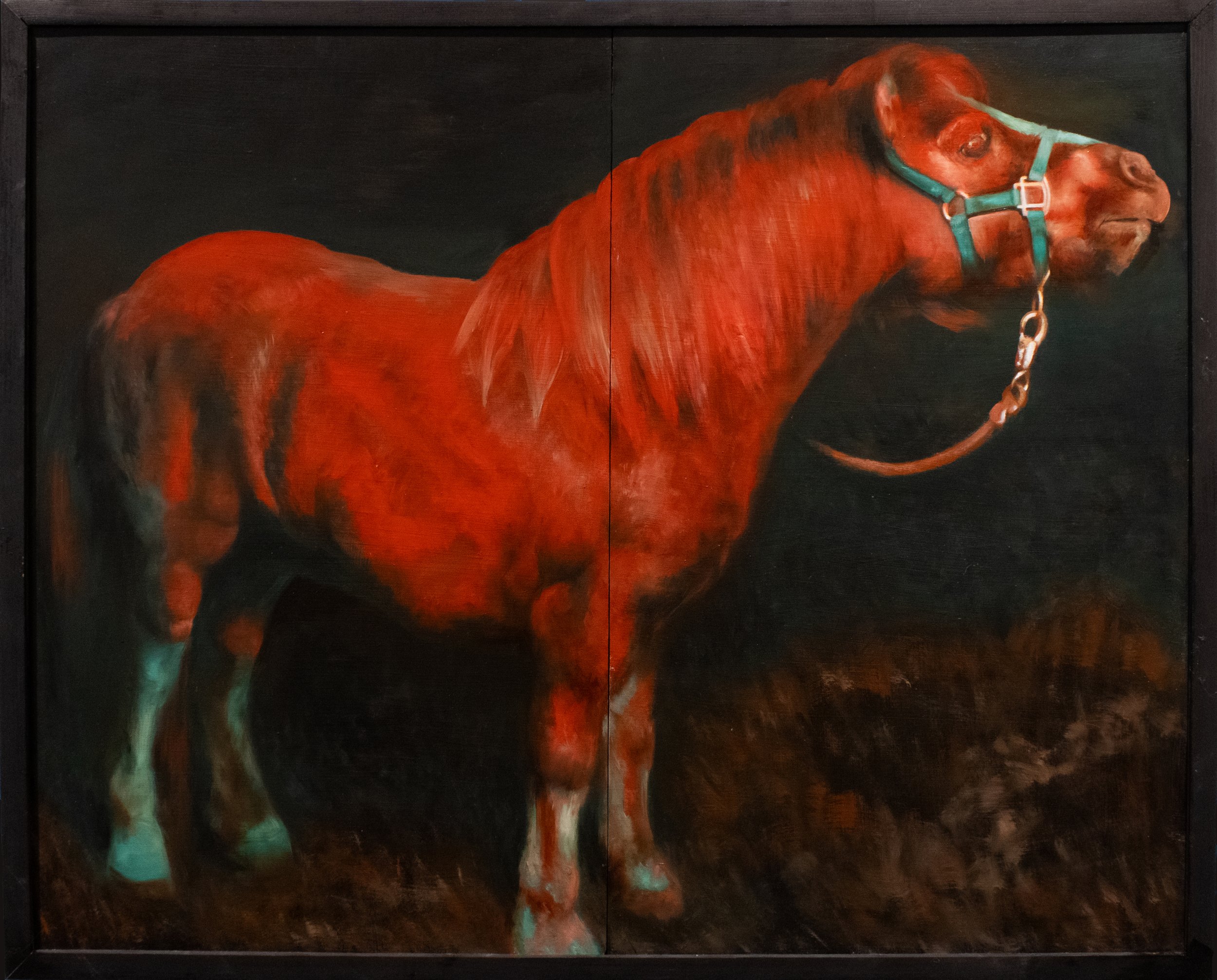 war pony.jpg