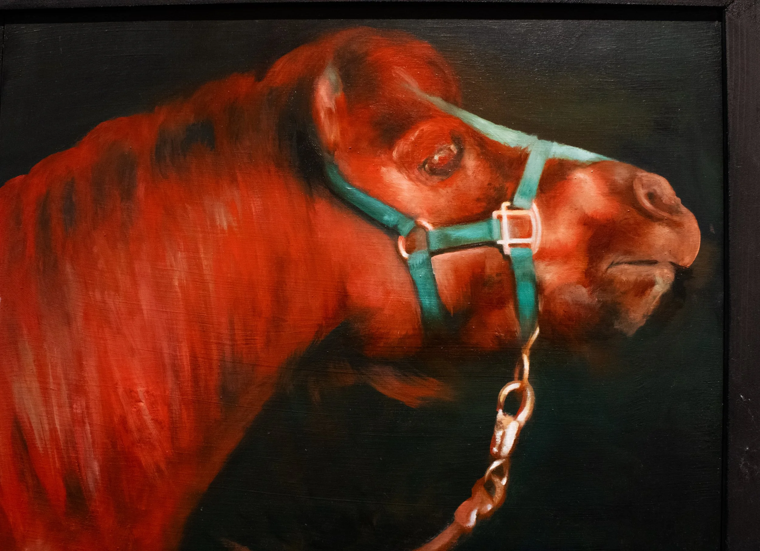 pony face.jpg