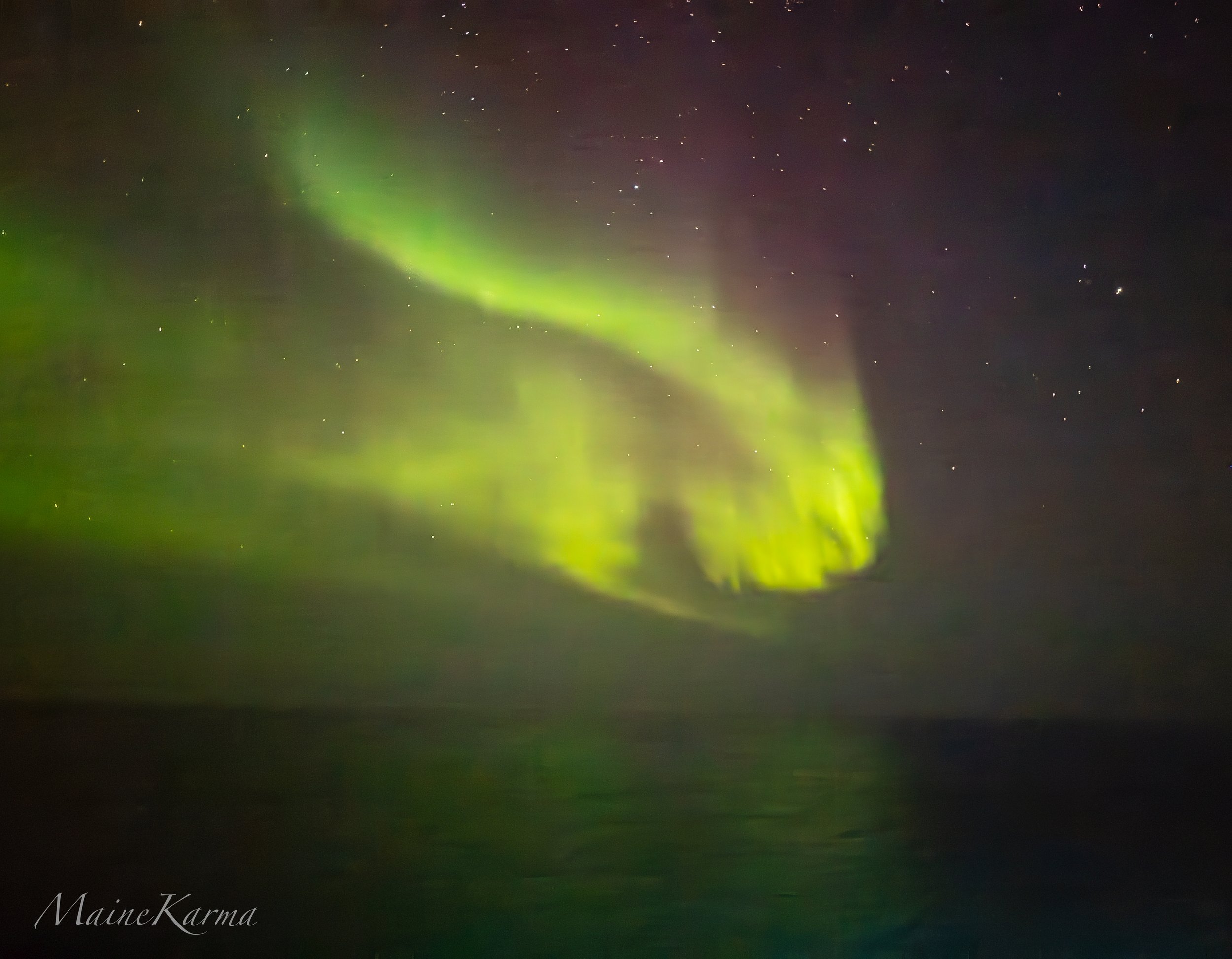 ladyaurora-2898.jpg