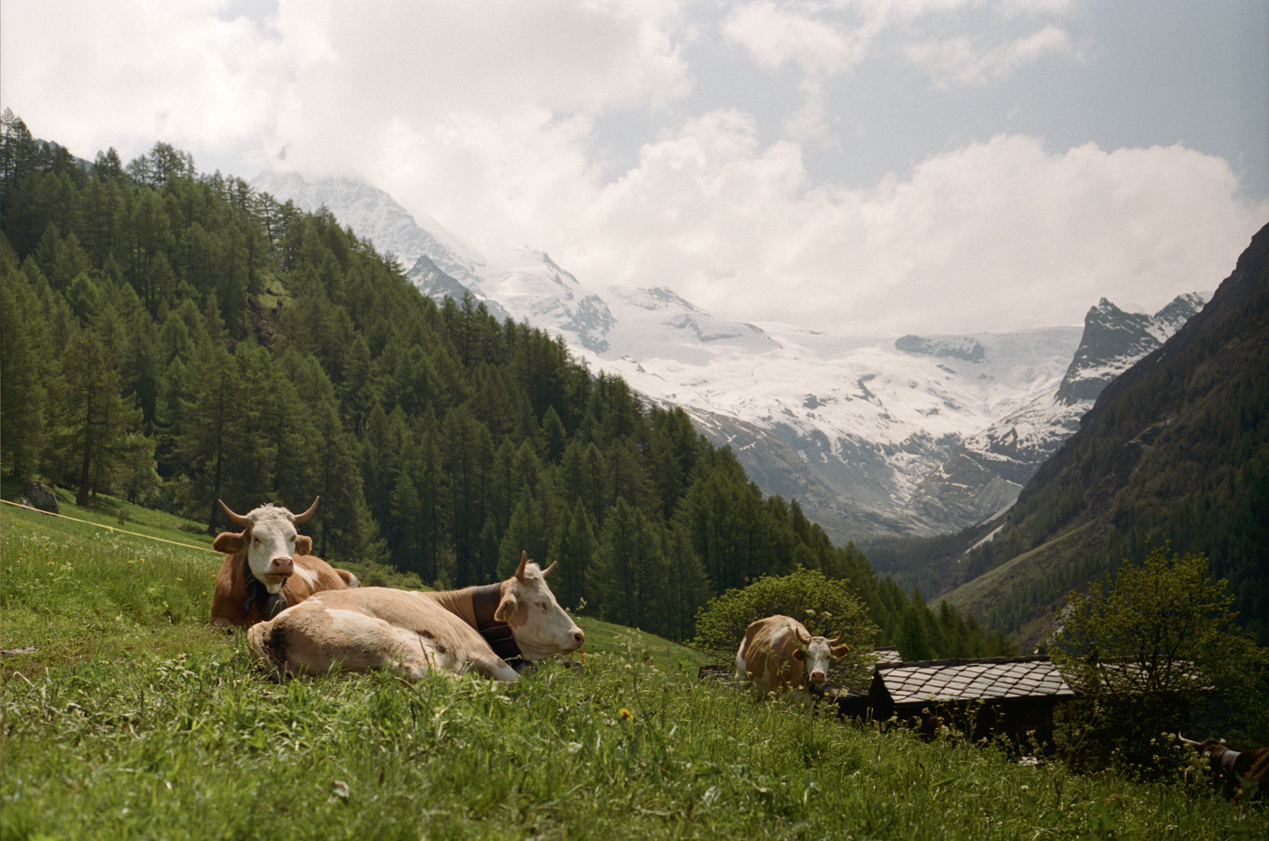 53272_TSC_001_14 copy.png