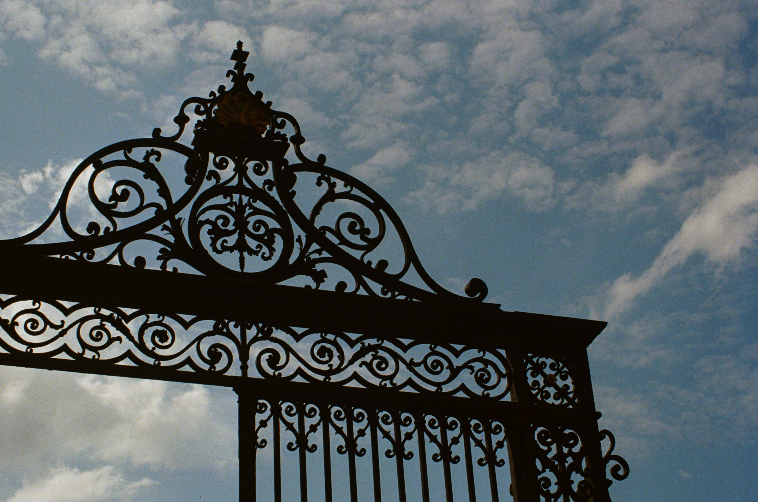 55046_TSC_001_13 copy.png