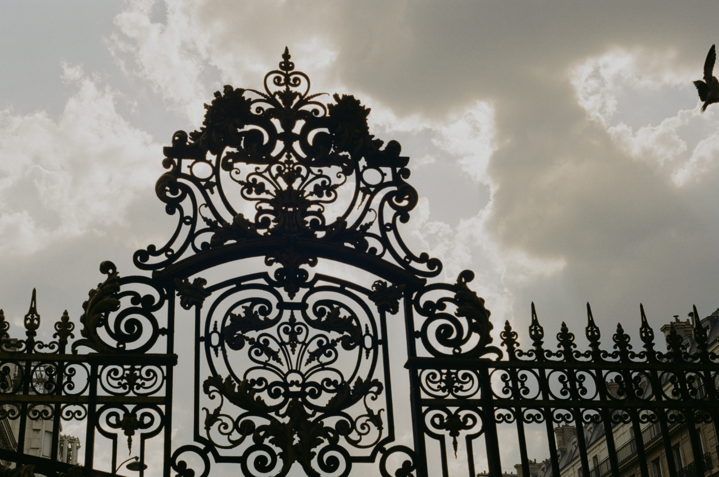 53725_TSC_003_05 copy.png