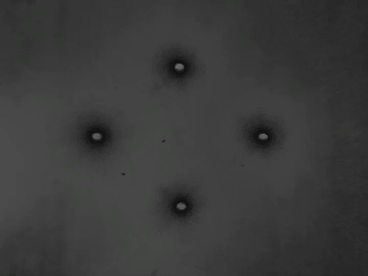 Work in progress / recent developments / invocations of chthonic entities / the rotted corpse of the sun

#solarisation #diabolicalparticles #analogueuncanny #8mmfilm #grainisgood #kodachrome #caffenol #filmgrain  #artistmovingimage #cyclonopedia #vi