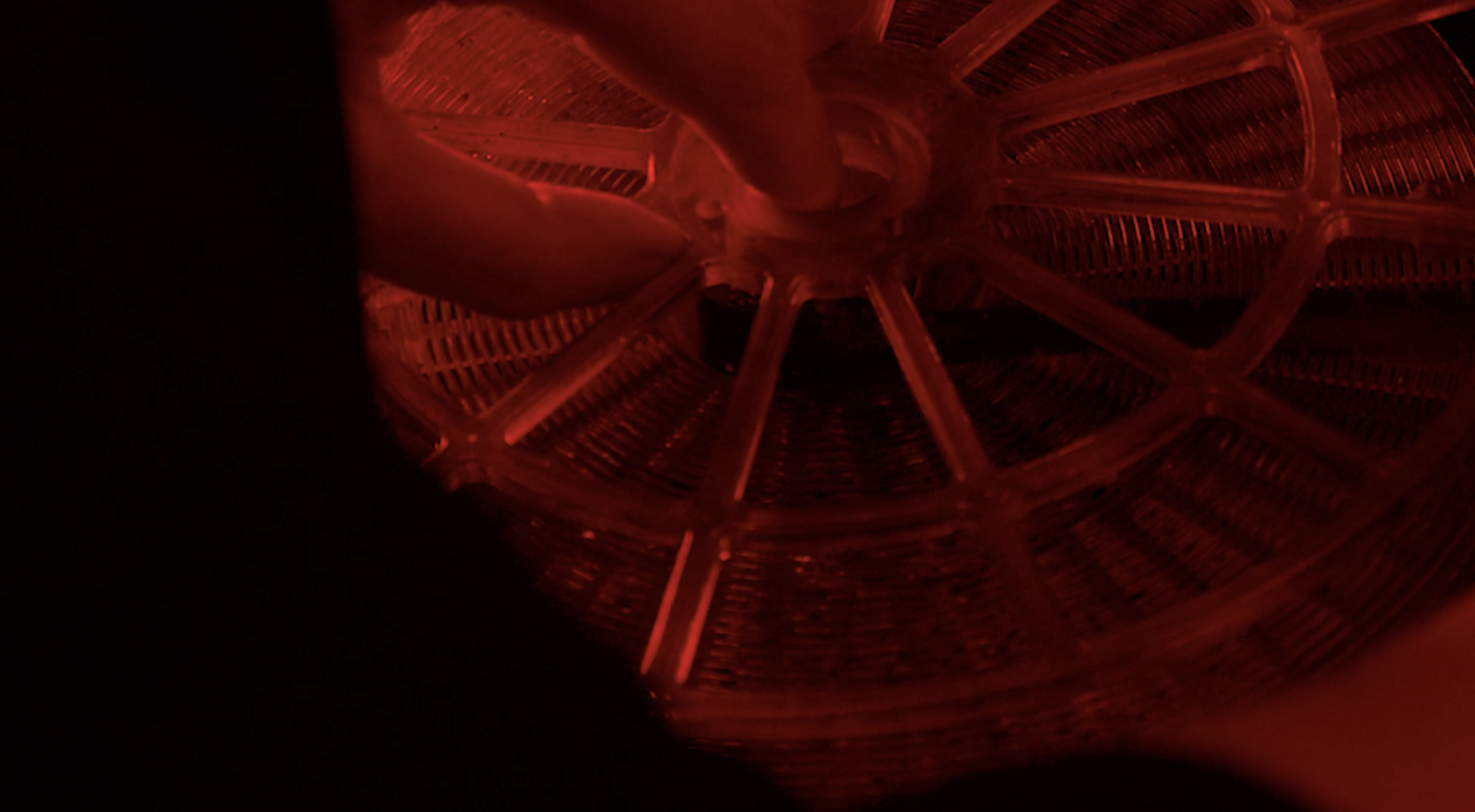 Screenshot 2026-02-20 at 15.06.32.png