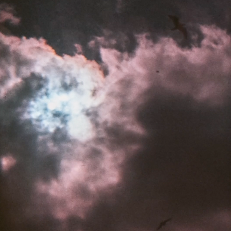 Attic Windows of the Infinite by Sapphire Goss Still 8.png