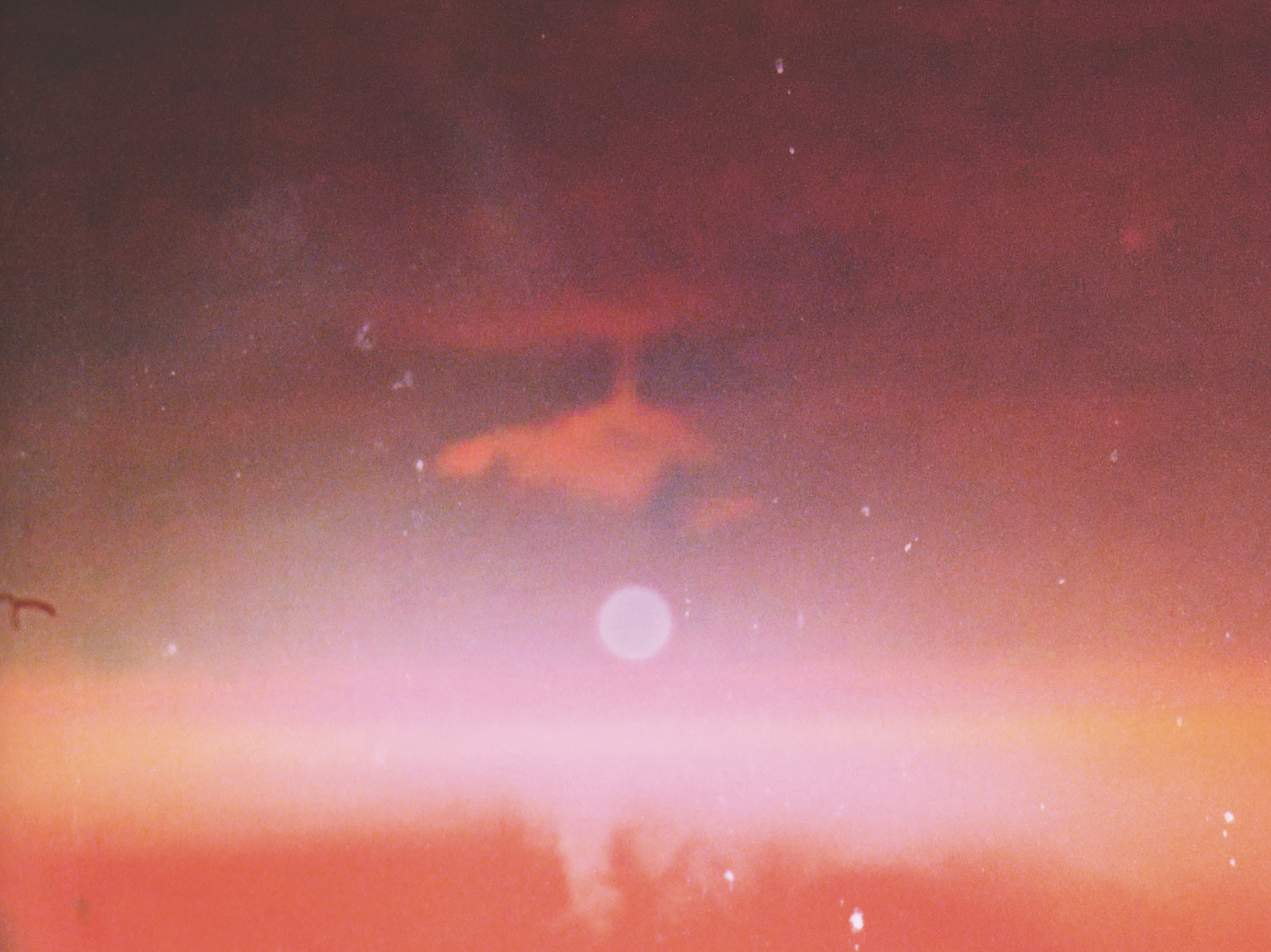 Screenshot 2026-02-20 at 15.12.33.png