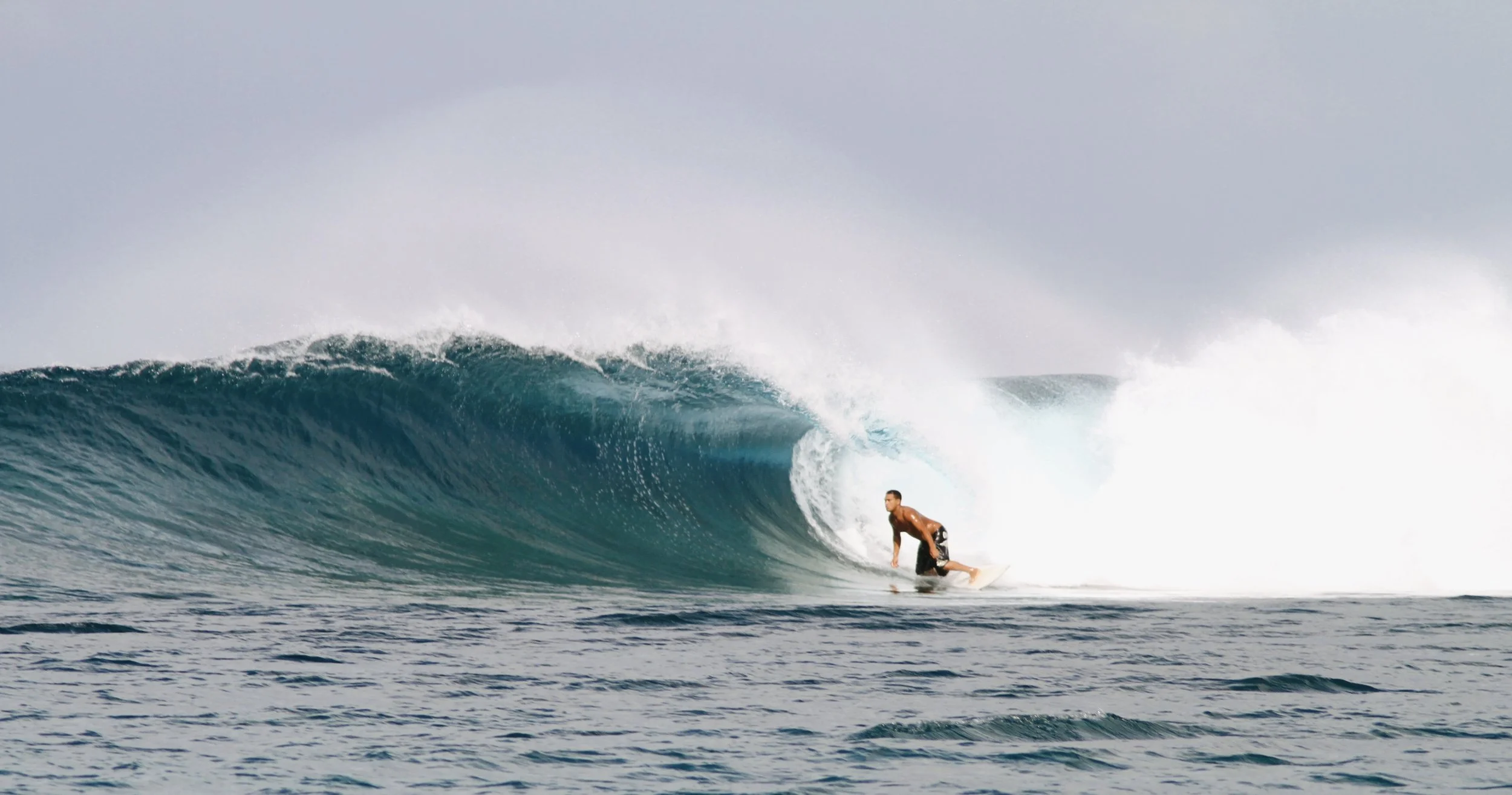 surf.jpg