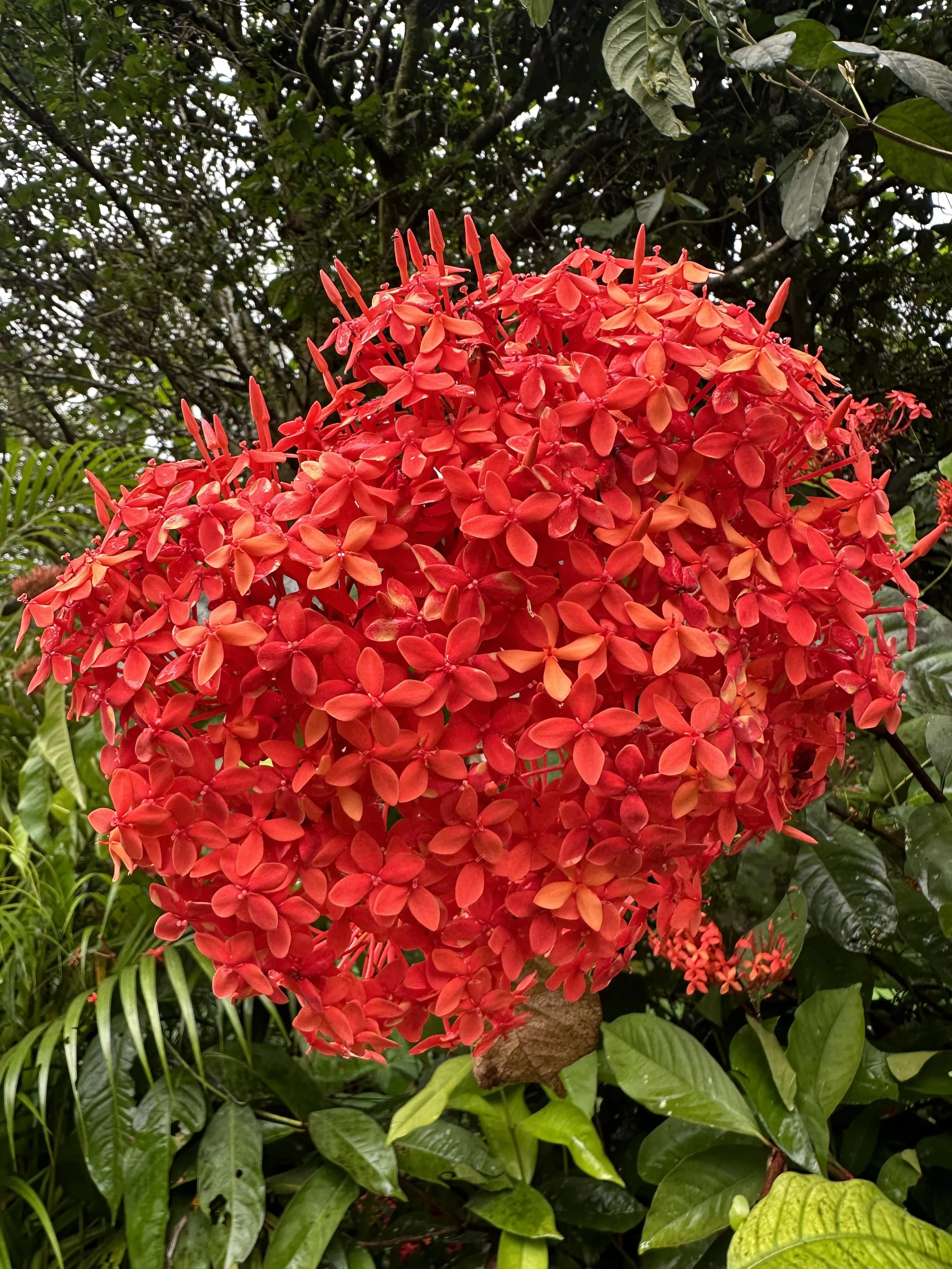 IMG_3138.jpeg