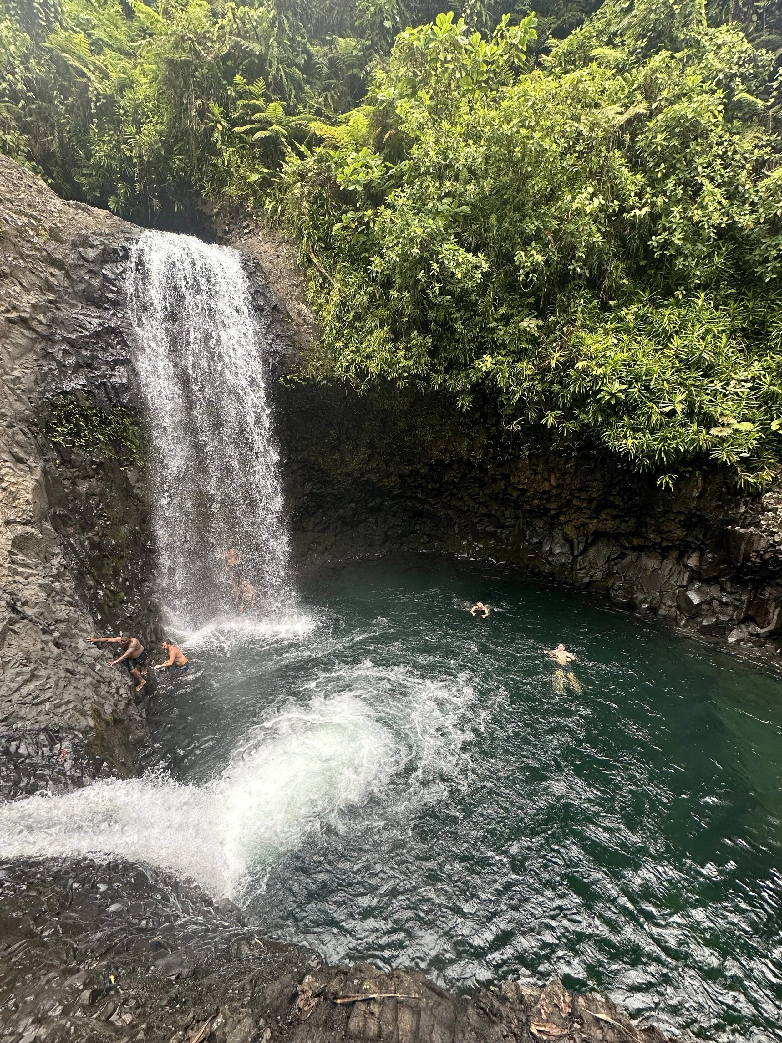 IMG_0558.jpeg