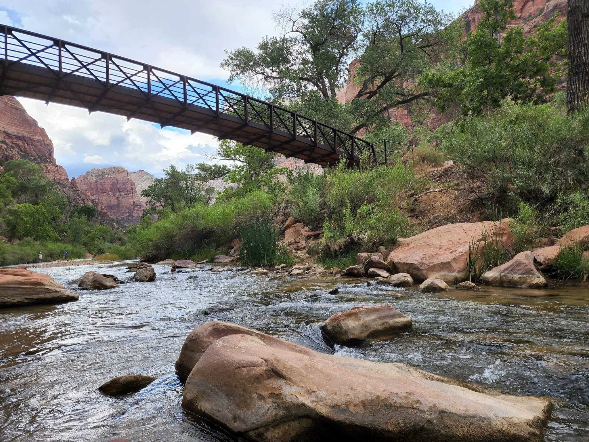 Melissa Pelletier, LICSW-Online individual Therapy for Anxiety in MA