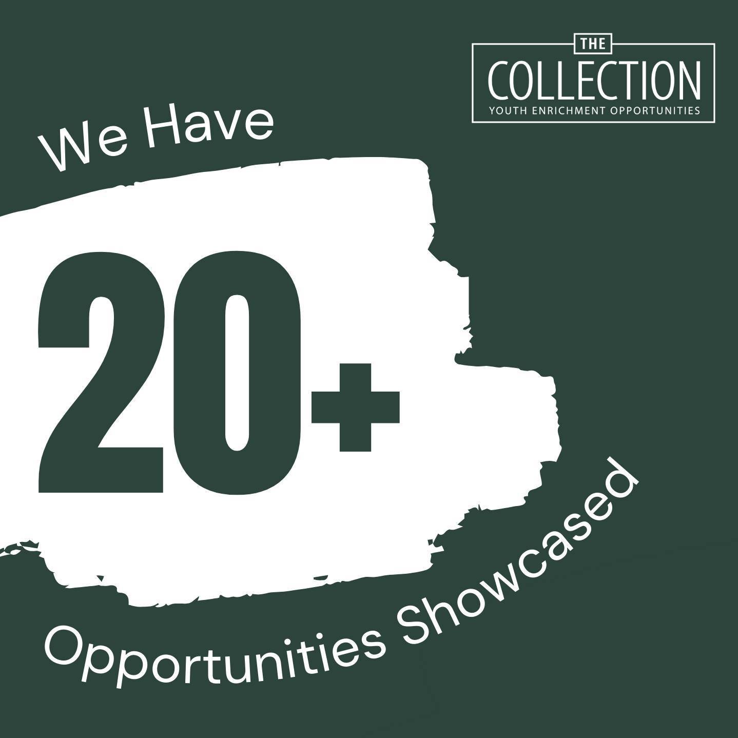 Update!!! The Collection has over 20 high quality enrichment opportunities showcased on our website! 🎉🙌. Are you in high school? Be sure to check out the website. Opportunities currently include debate camp, law camp, forums, climate change initiat