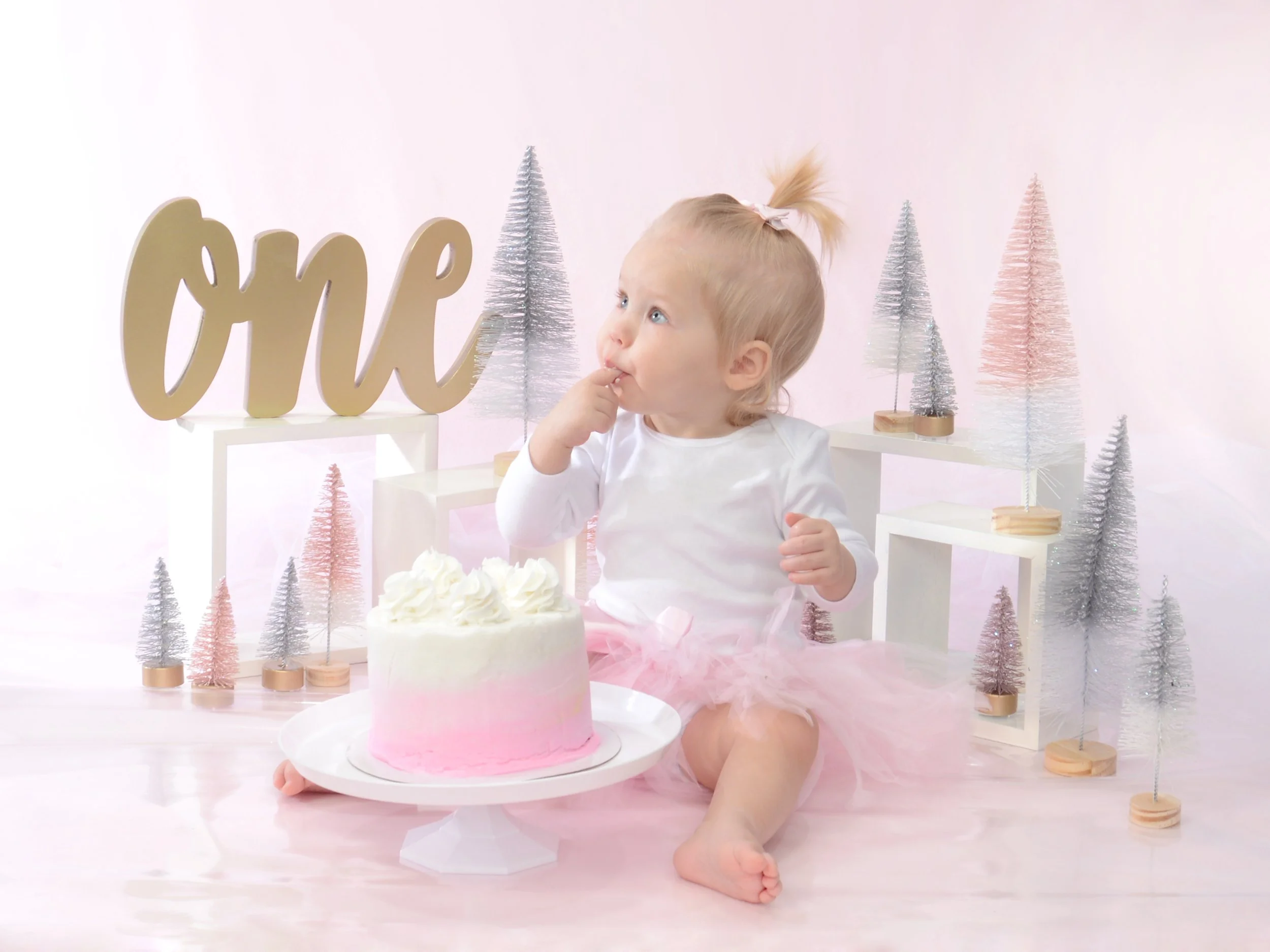 Whitehead - DSC_6113a.jpg