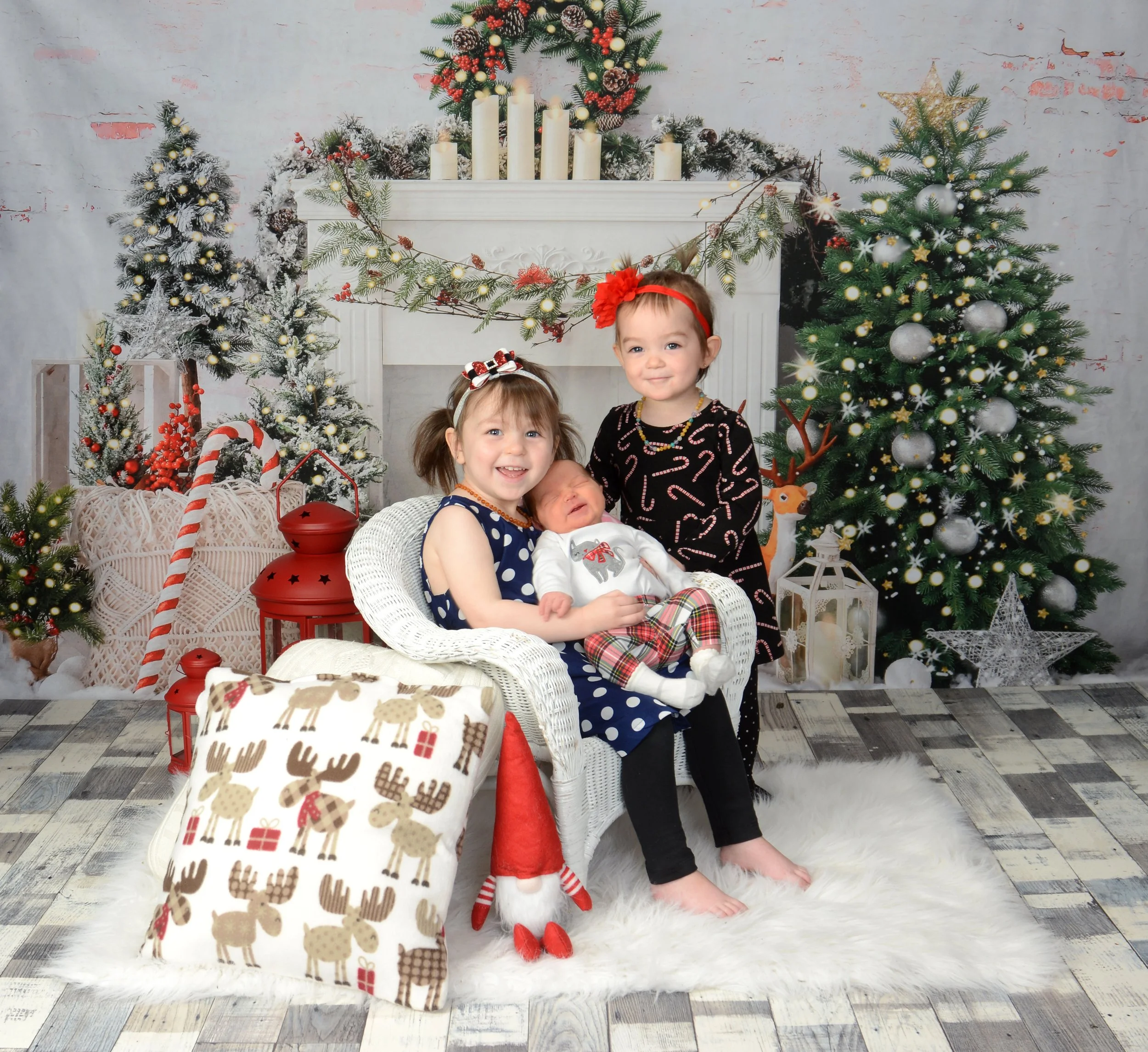 Mardell - DSC_4652a.jpg