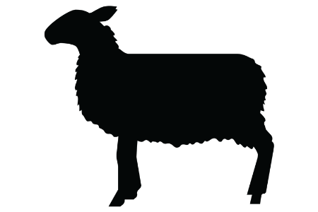 The Good Shepherd
