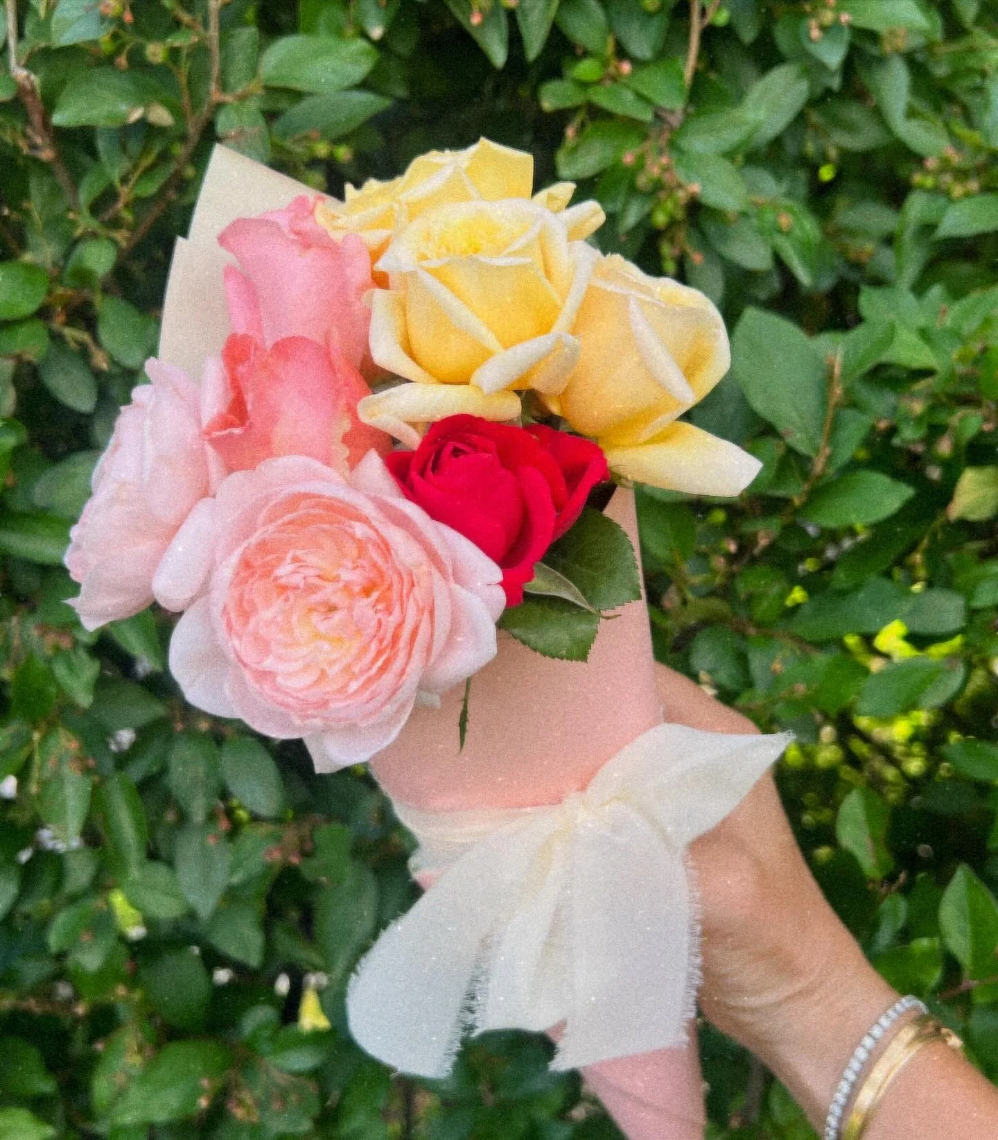 Hi Cache Valley!🌿💛 We&rsquo;re excited to offer $12 bundles of some of our younger plant varieties for a short time. Their stems might be under 18 inches (7-12&rdquo;), not quite ready for our florists, but they still deserve some serious love!

Ea