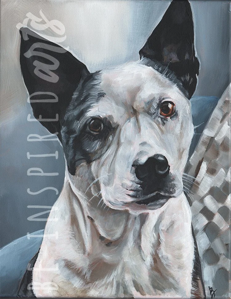 Poppi, Acrylic on Canvas, 11x14, 2025