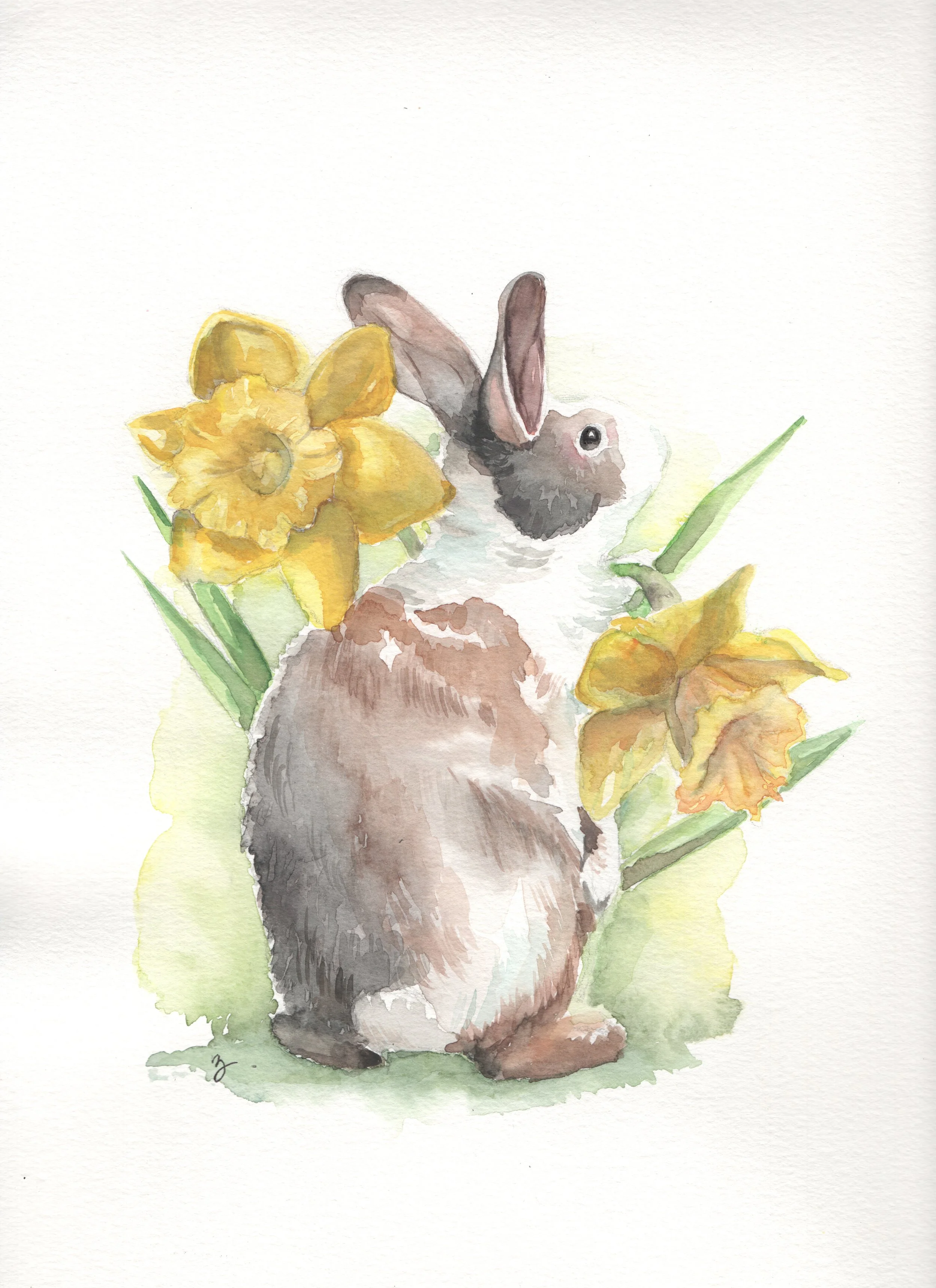 Spring Bunny II, Watercolor, 8x10, 2025