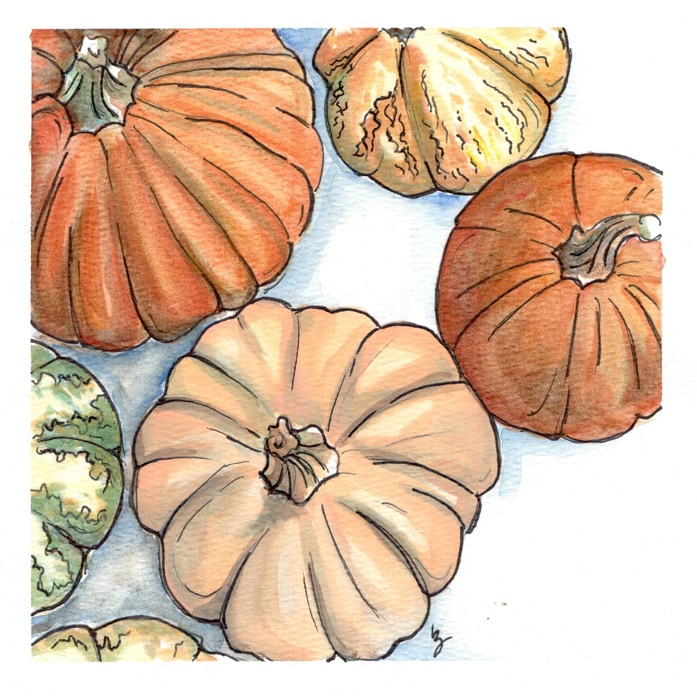 Illustrative Pumpkins, Watercolor, 8x8