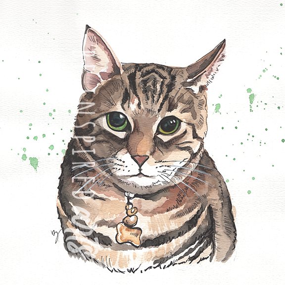 Pet Portrait, Watercolor Illustration, 12x12, 2025