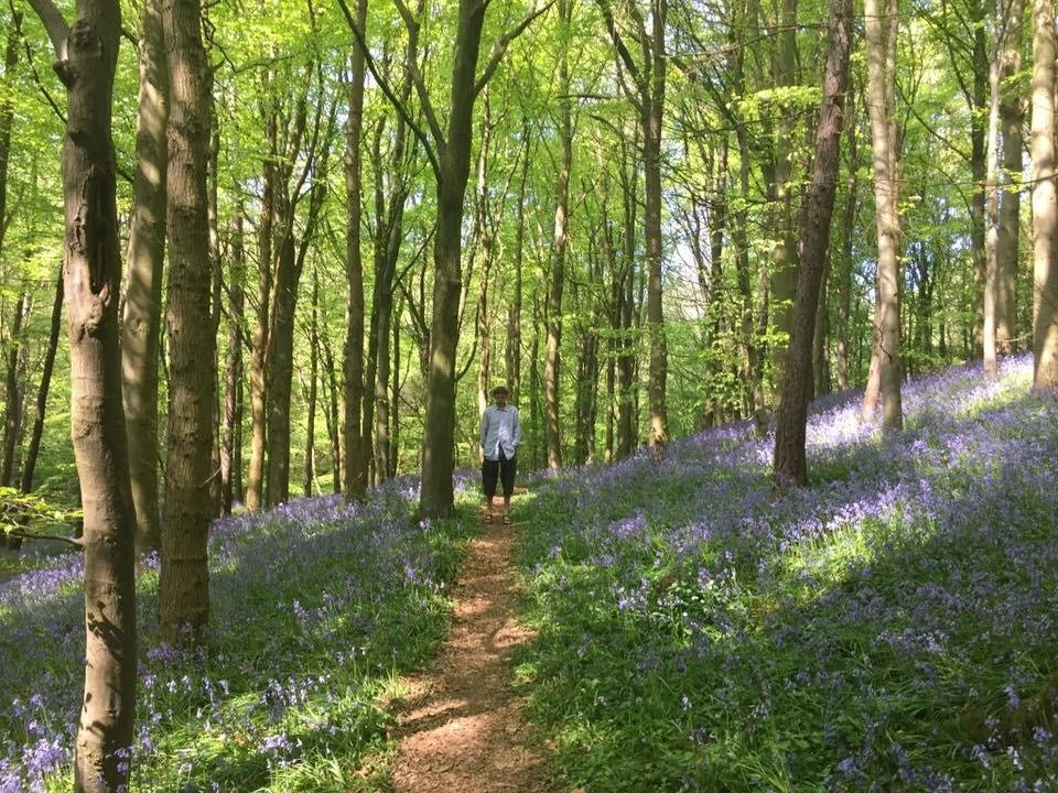 DESIGNING IMPACTFUL PROJECTS