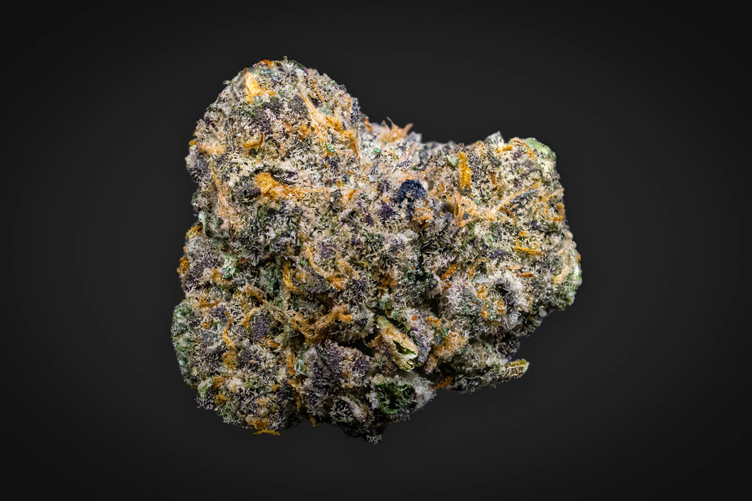A macro shot of Glo Han Solo Burger Cannabis Flower