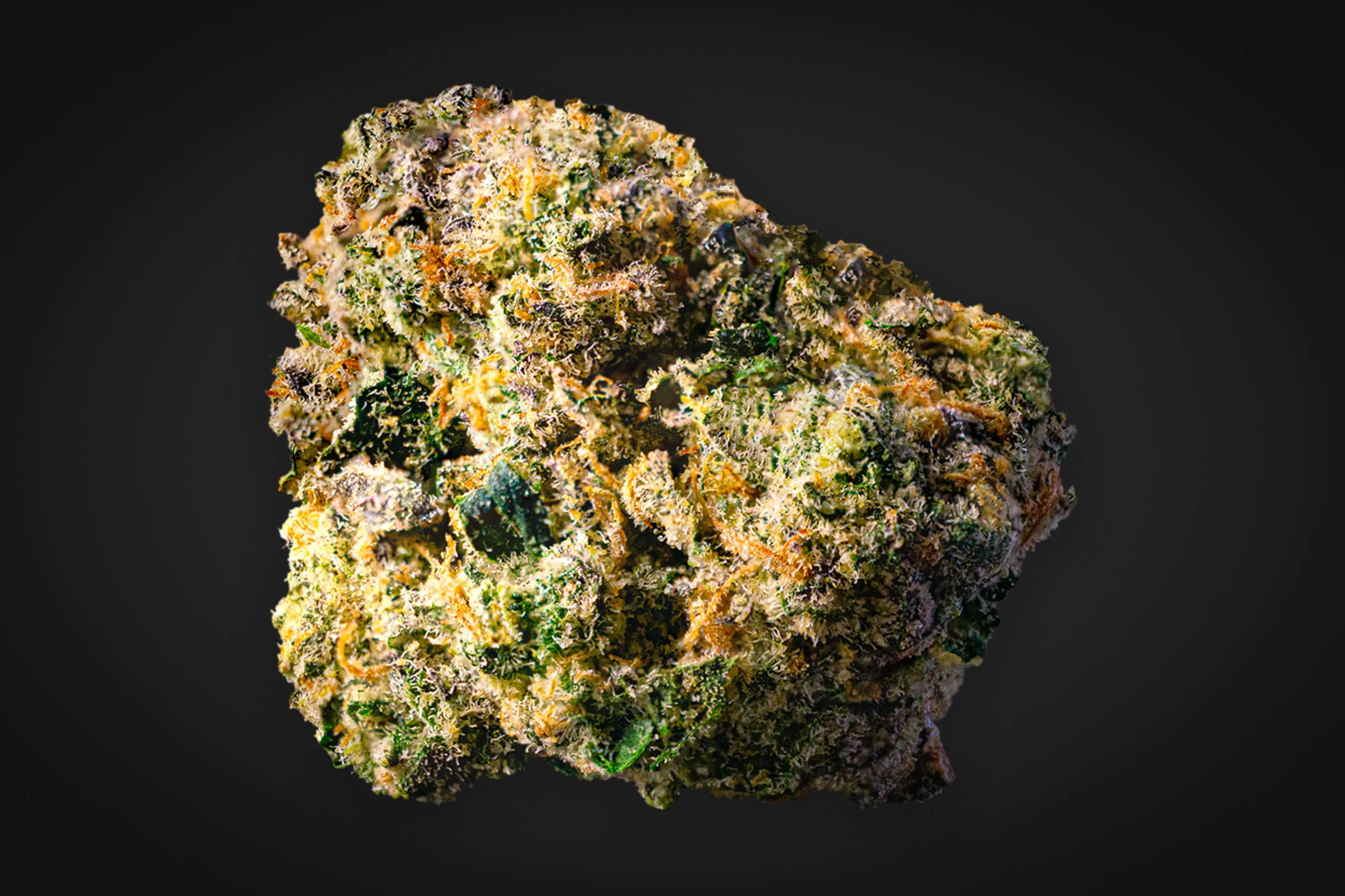 A macro shot of Glo Skunk Cannabis Flower