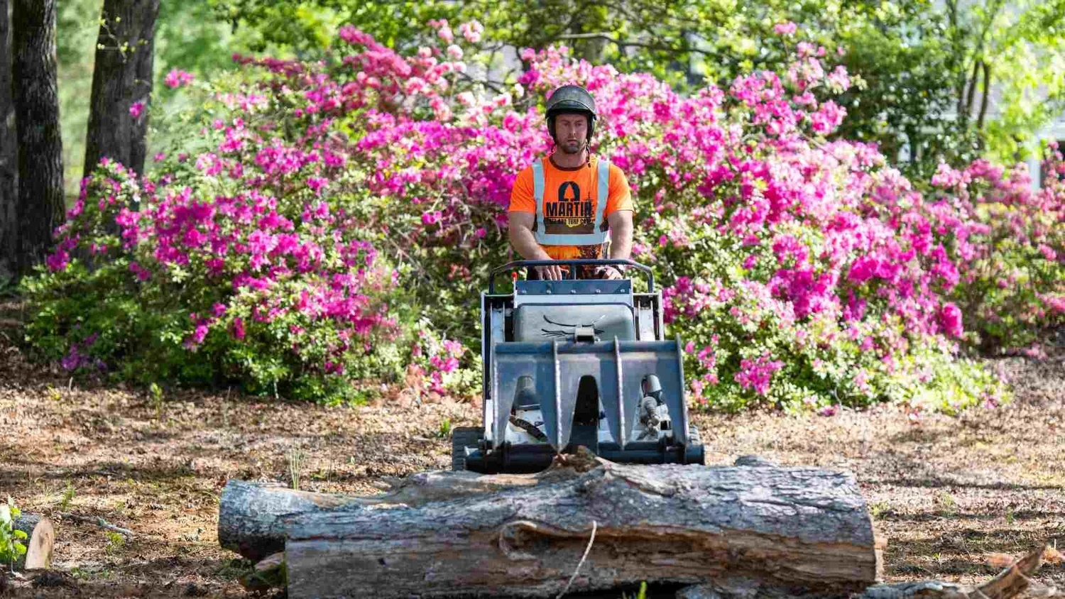 Tree Maintenance — Tree Removal, Trimming, and Turf Care in Upstate SC ...
