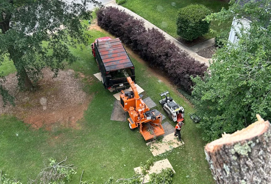 Tree trimming crew working on tree removal with specialized equipment in a backyard, surrounded by green grass, bushes, and large trees.