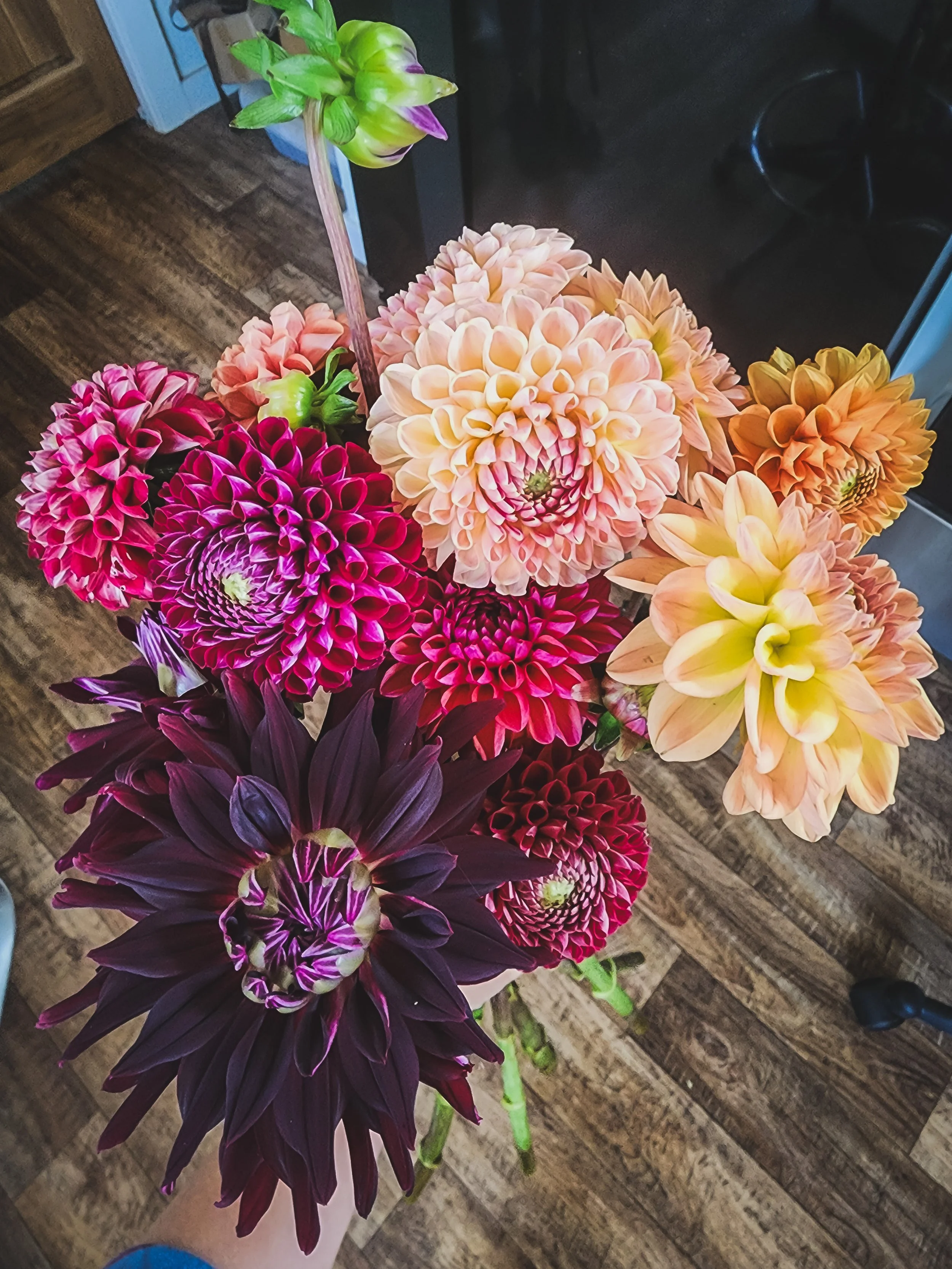 20250620_134459 (1).jpg