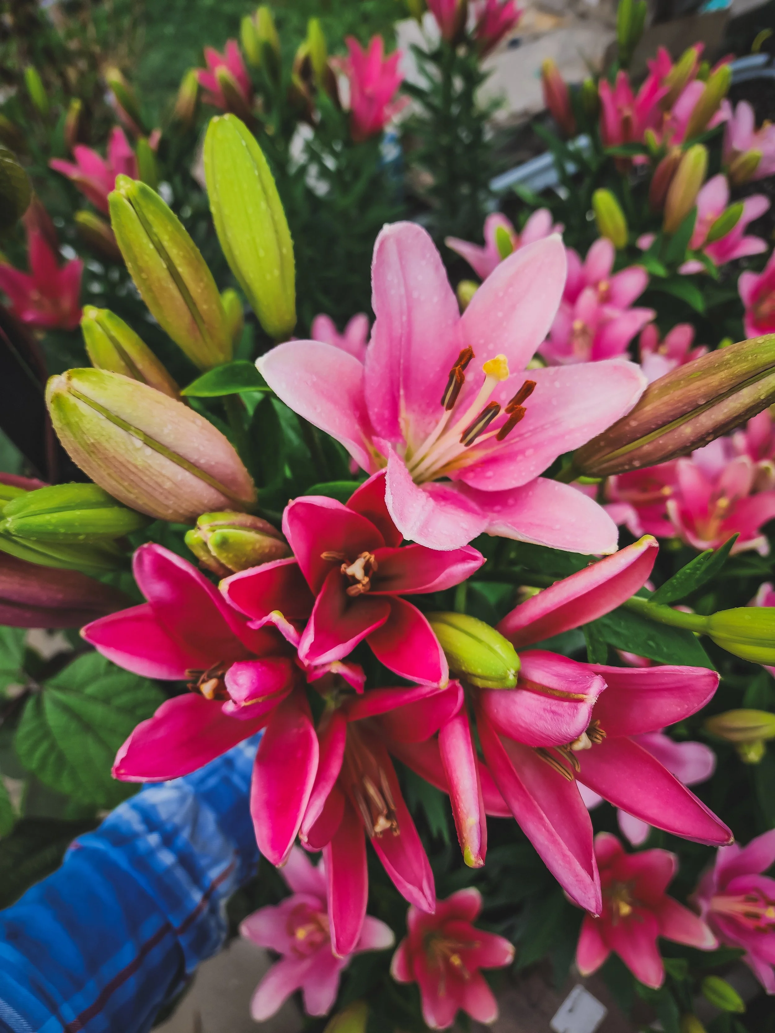 20250606_080028 (1).jpg