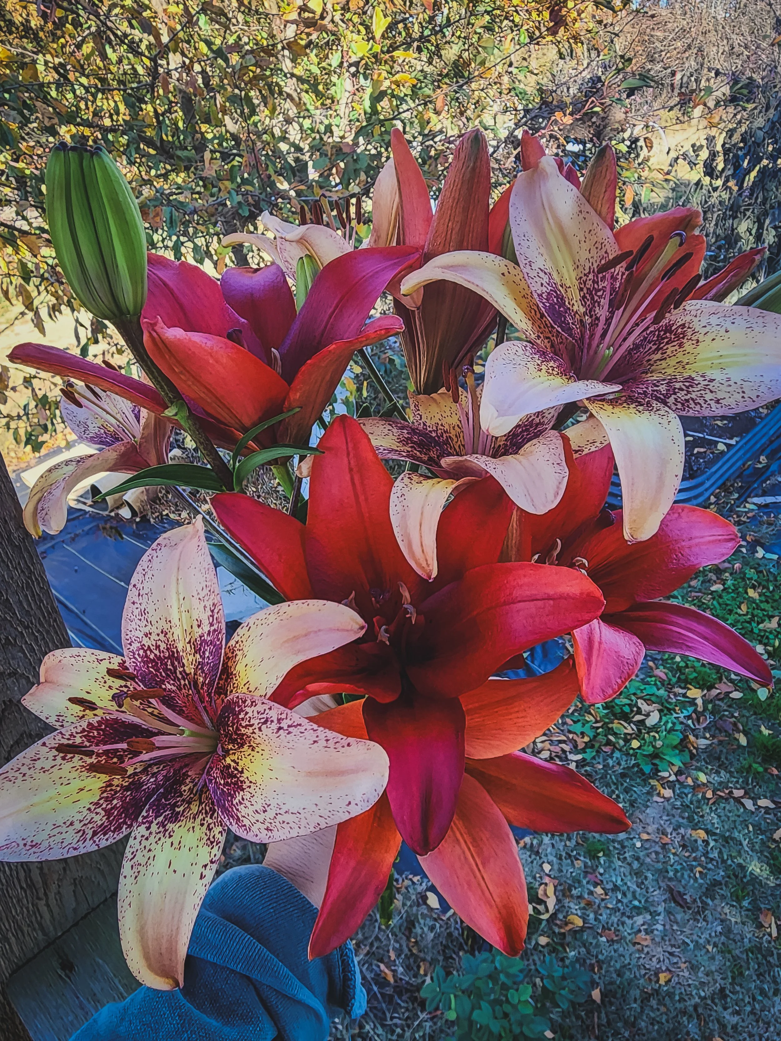 20251112_092159 (1) (1).jpg