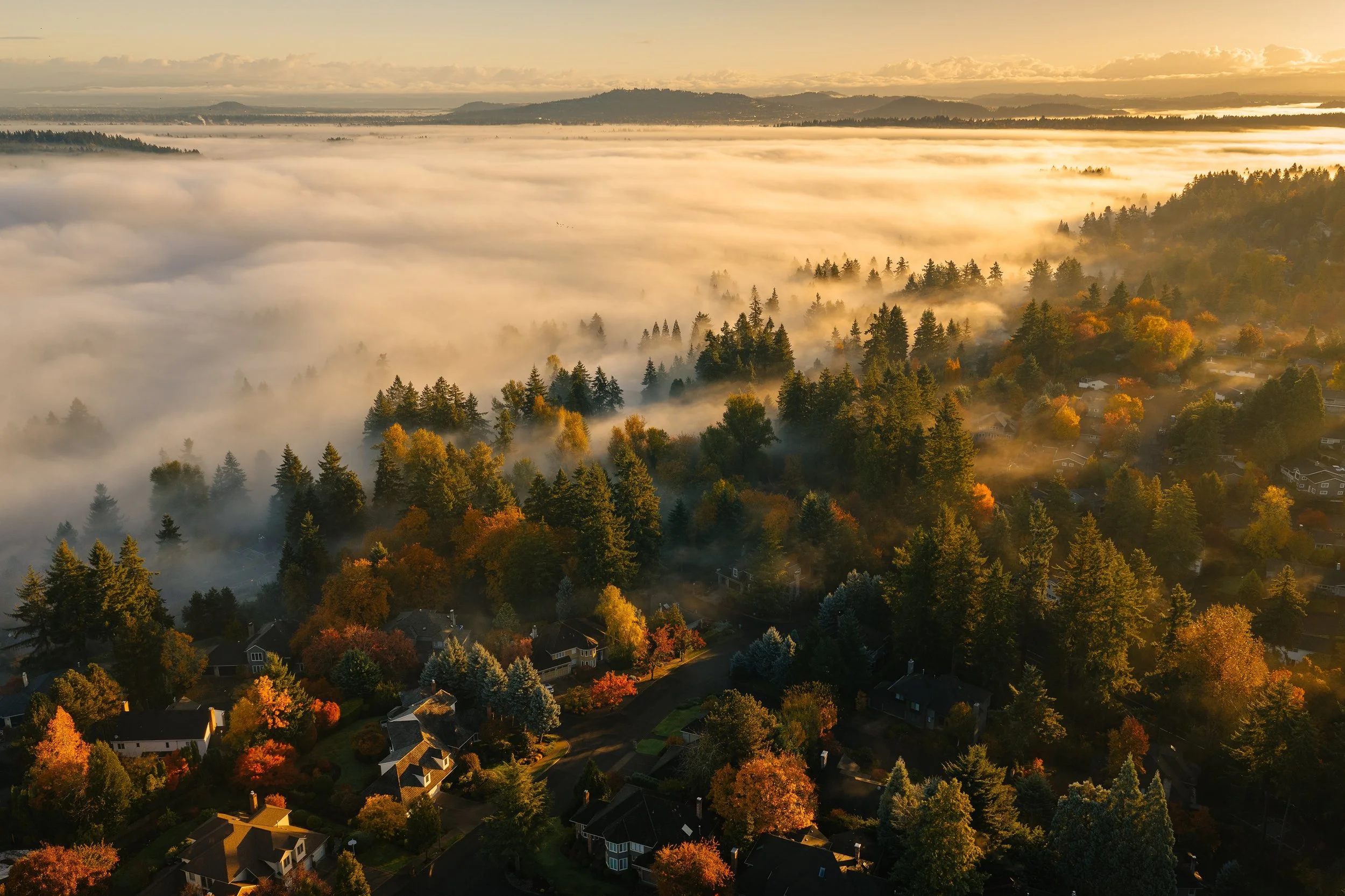 Aerial view of a neighborhood surrounded by dense trees with autumn foliage, with fog covering the landscape and a golden sunrise in the background.