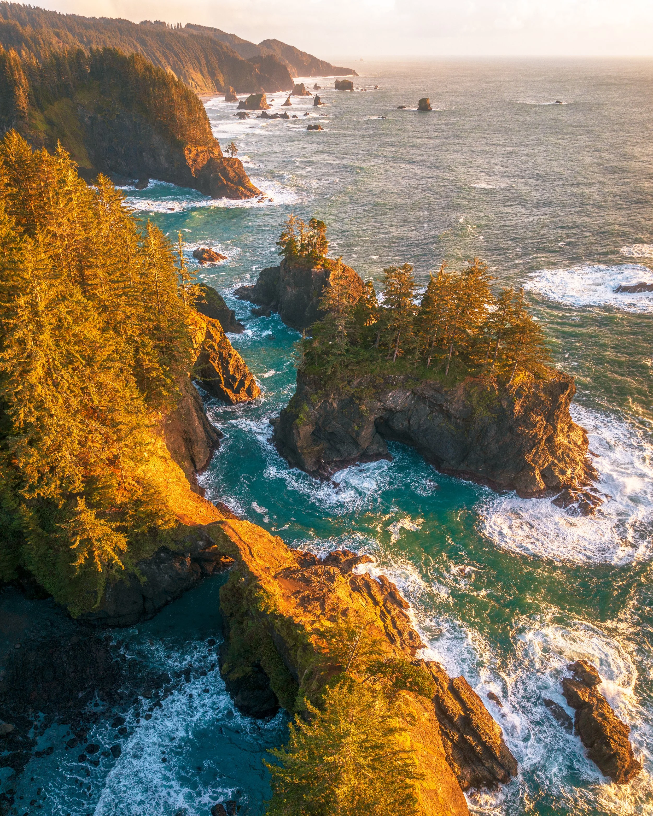 Sunset over rugged coastline with cliffs covered in trees and waves crashing on rocks.