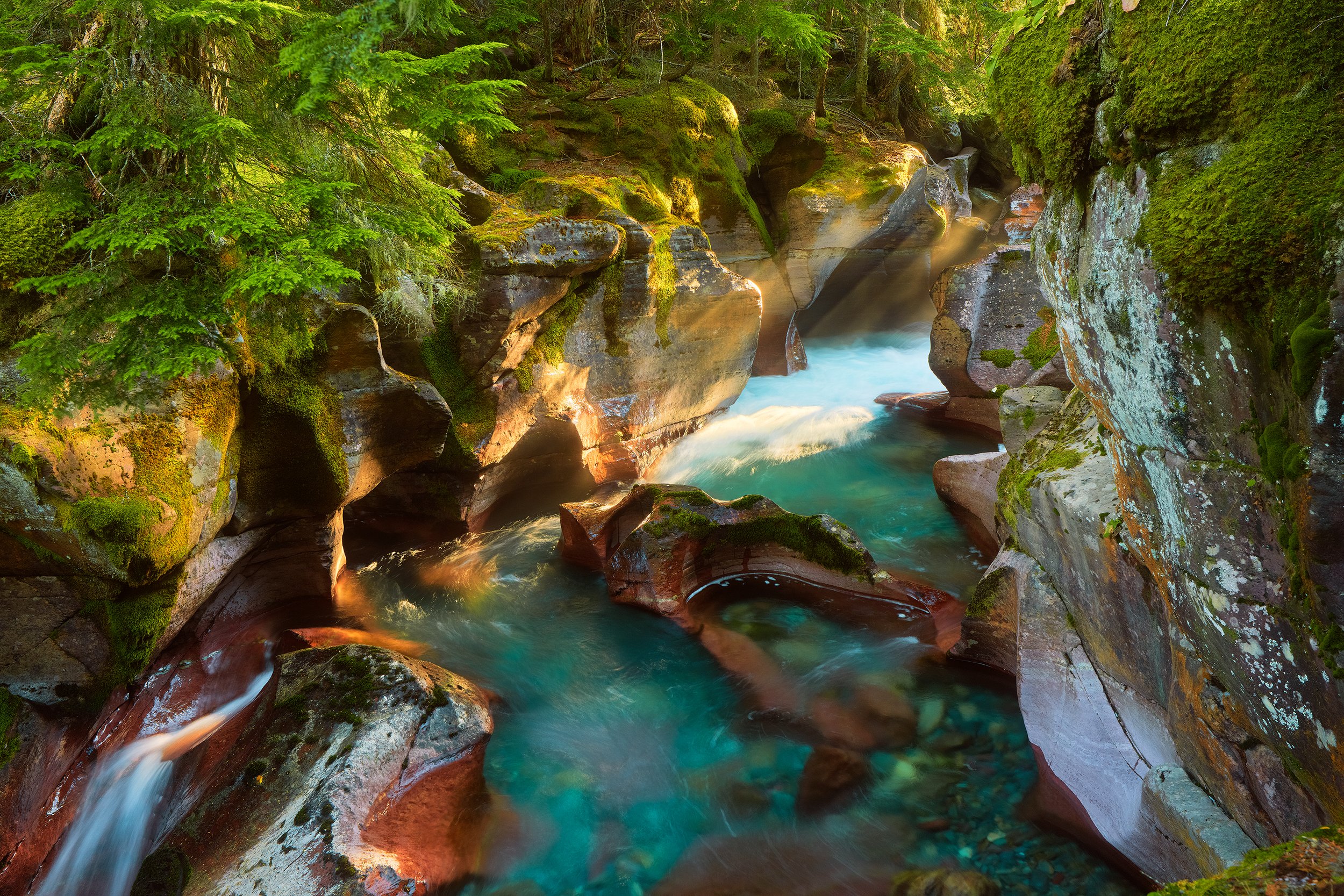 A scenic view of a narrow canyon with moss-covered rocks and clear rushing water surrounded by dense green forest.