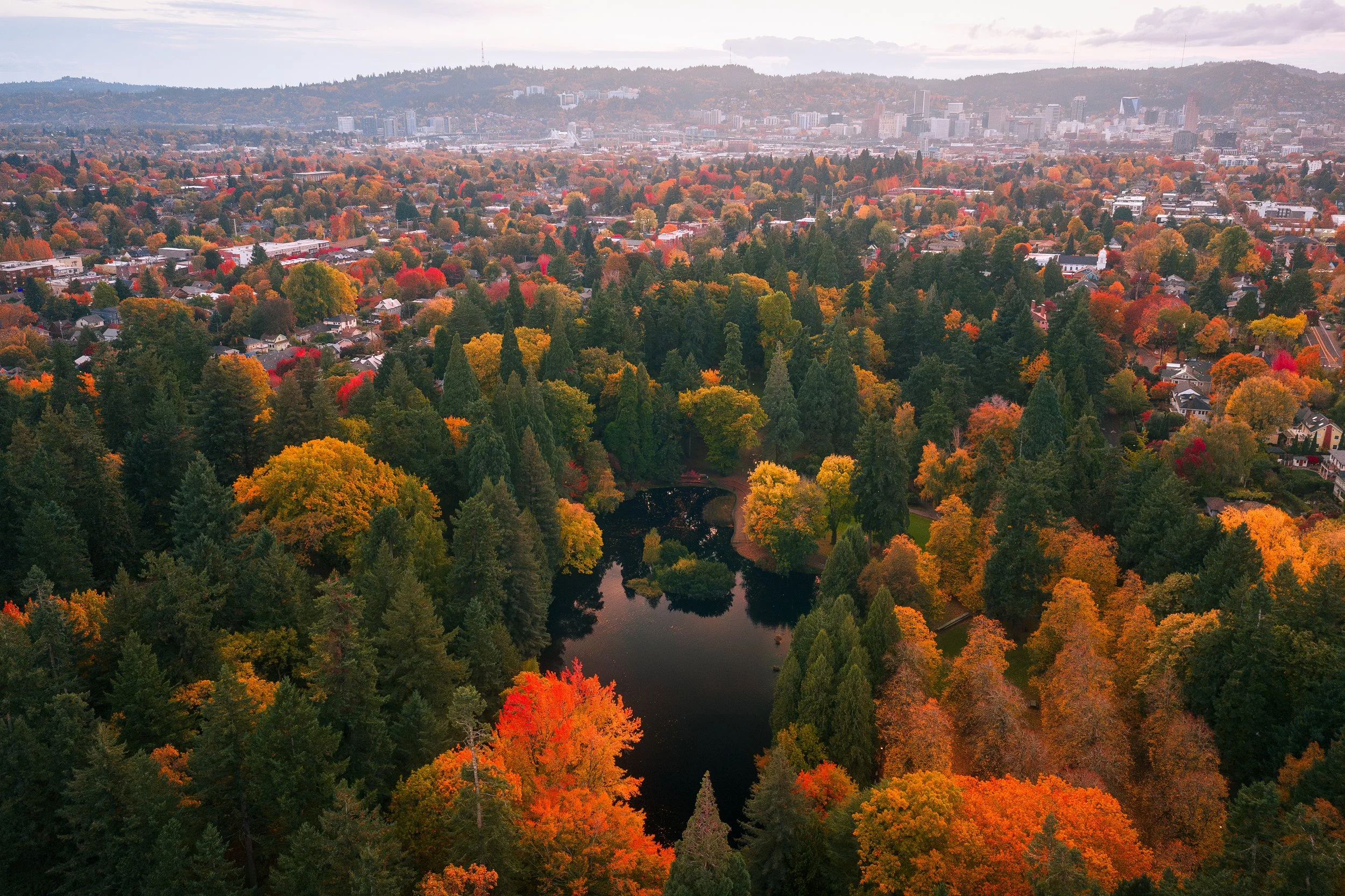 Aerial view of a city park during fall, with trees in vibrant autumn colors surrounding a small lake, and a city skyline in the background.