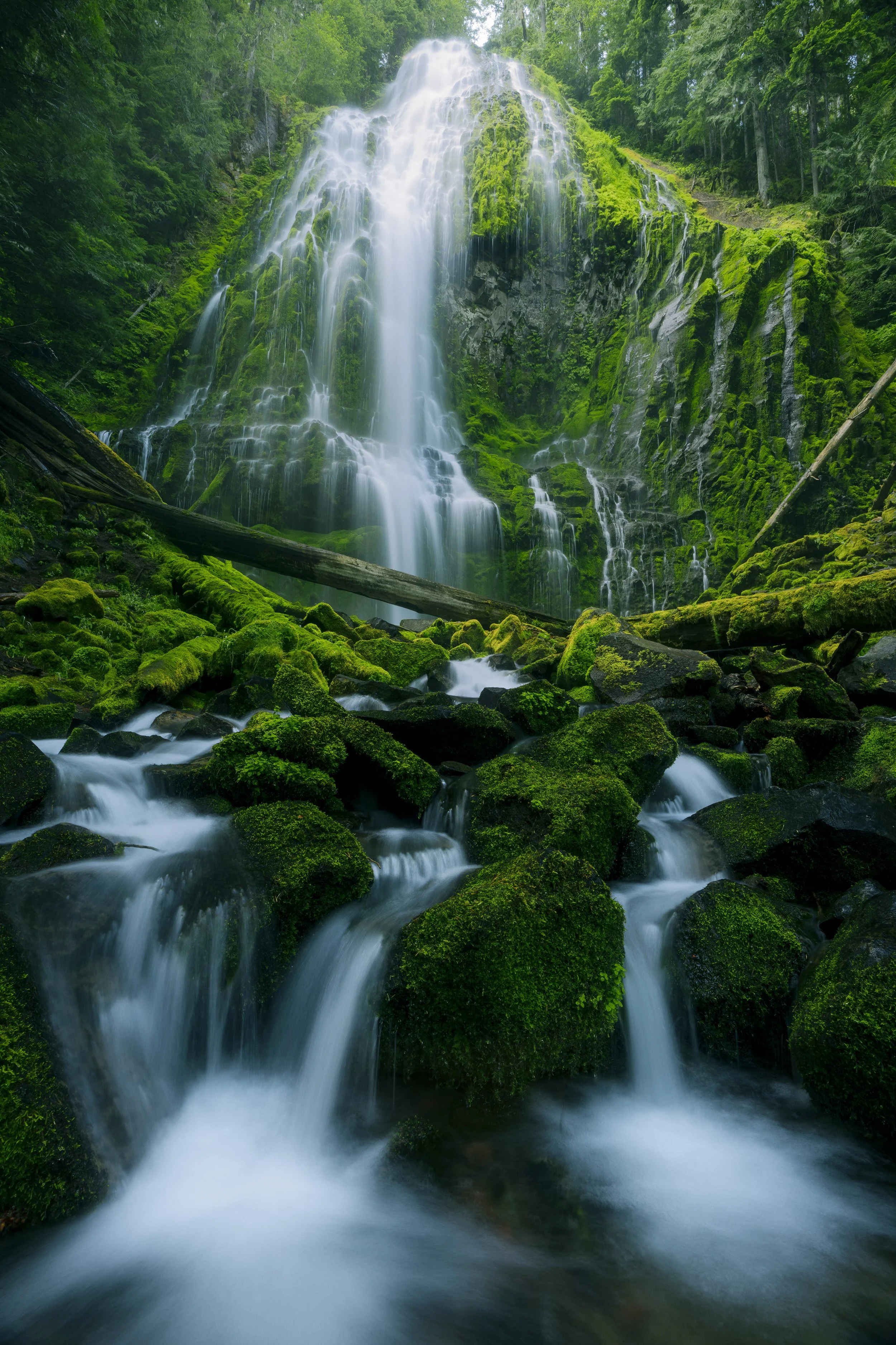 Proxy Falls