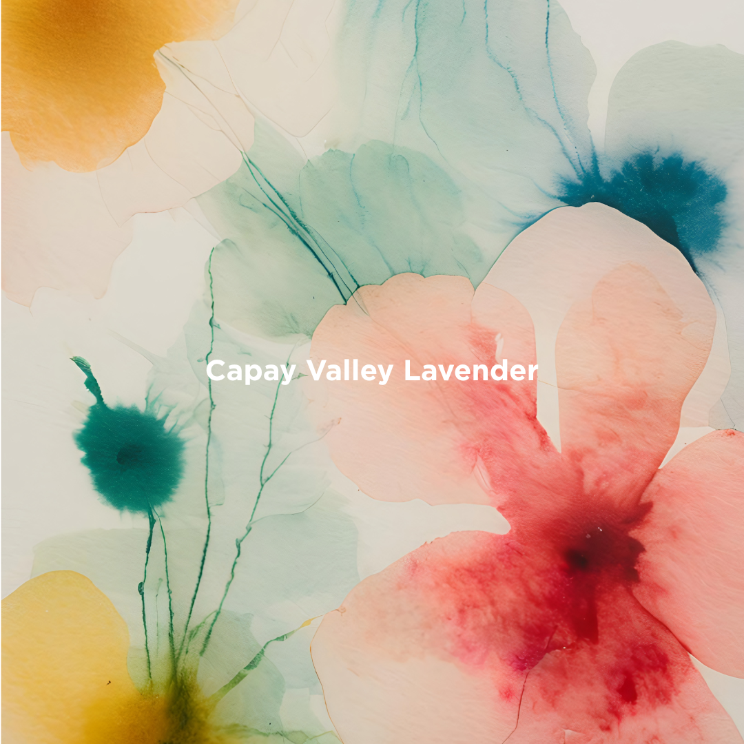Capay Valley Lavender (Coming soon!)
