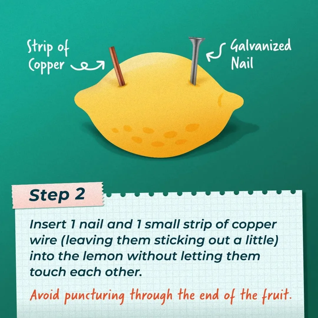 lemon battery 4.jpg