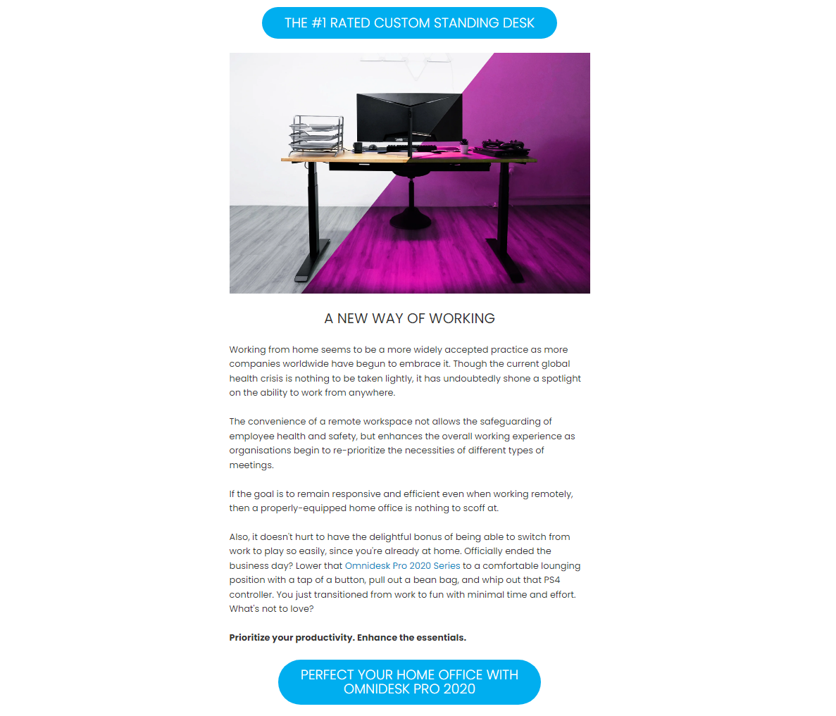 omnidesk-wfh-essentials-article-screenshot-7.png