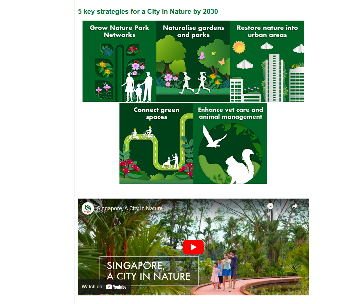 City in Nature website 02.png