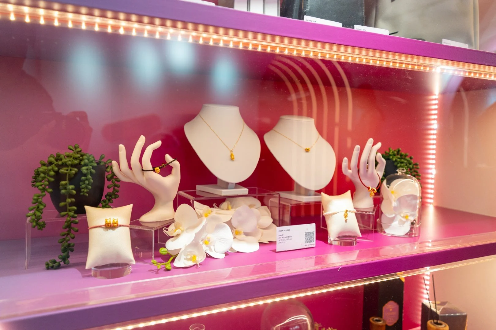 02 TaxAbsorbMania-1156 (Large).jpg