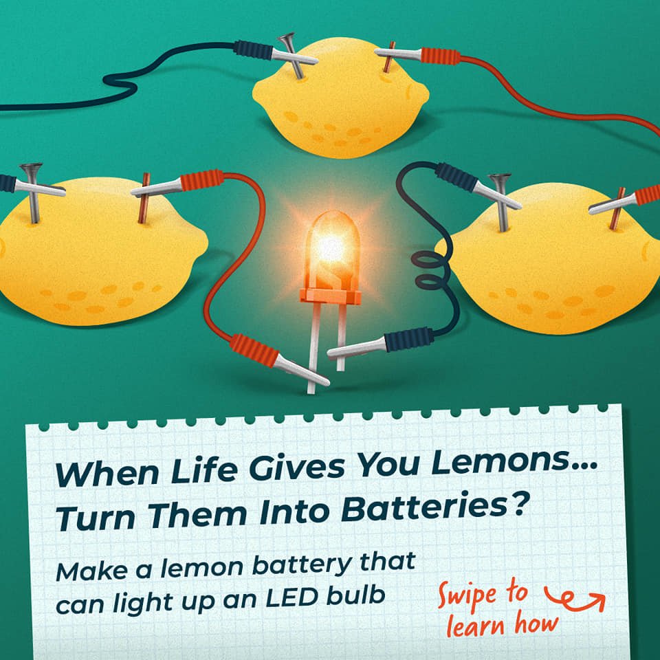 lemon battery 1.jpg